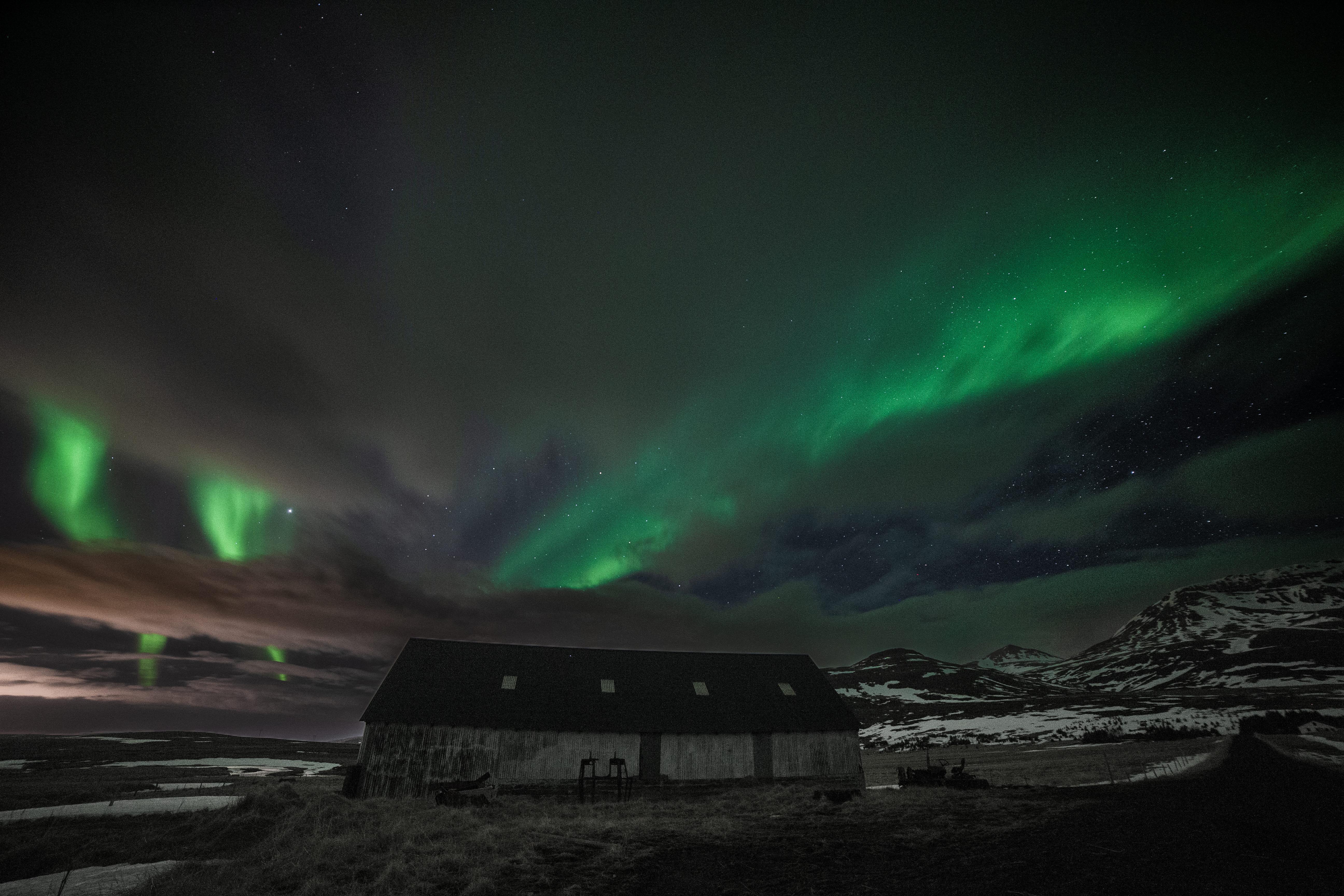 Reykjavik Northern Lights Minibus Hunt with Hot Cocoa