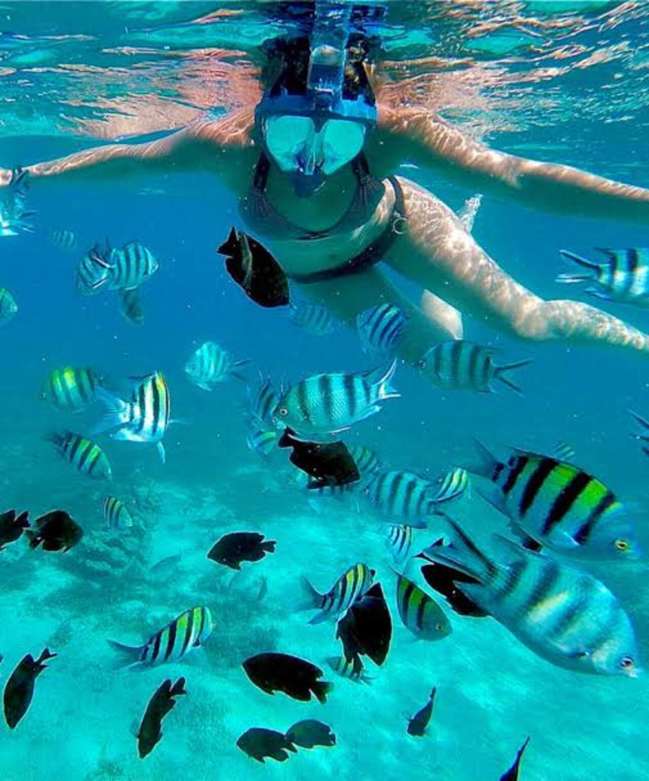 Zanzibar Marine Wonders & The Rock Restaurant Tour