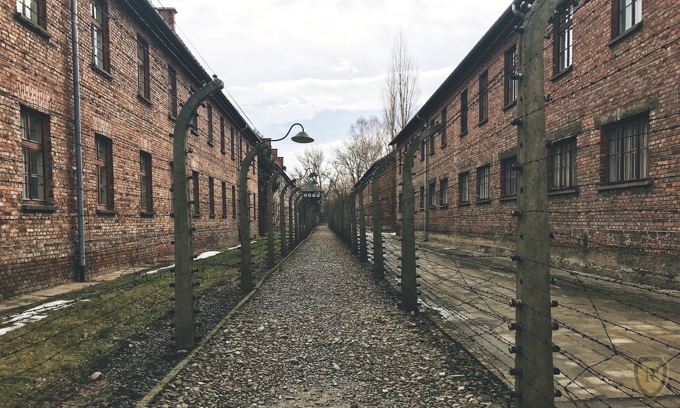 memorial tour in Auschwitz-Birkenau — photo 17
