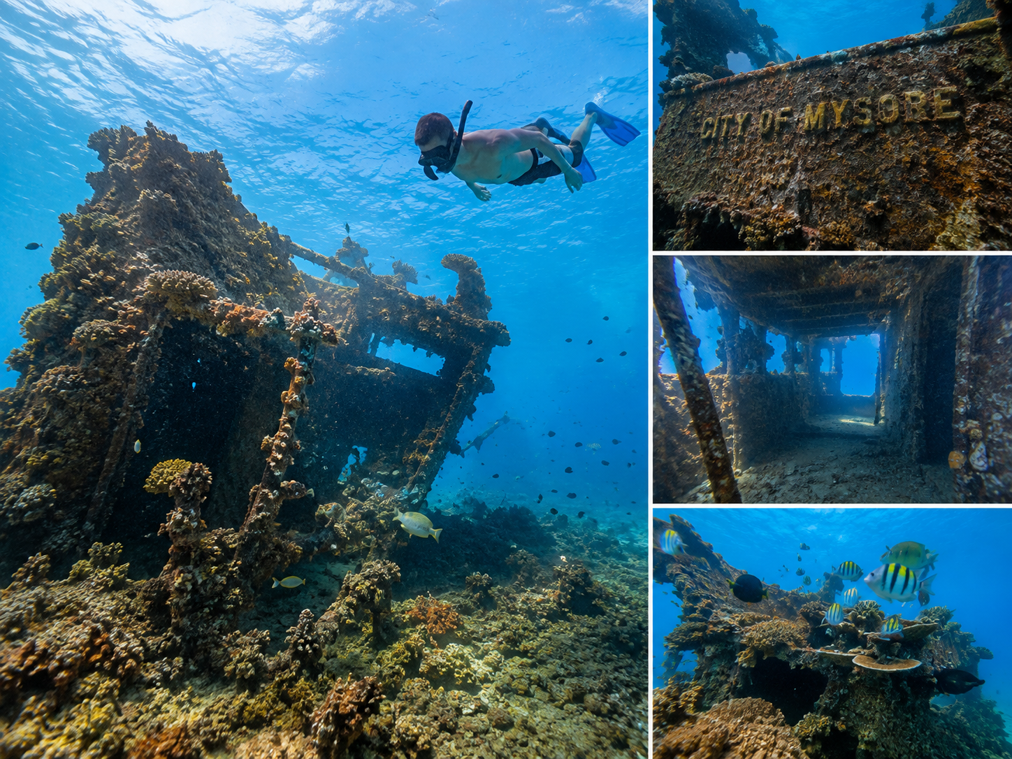 Shipwreck Snorkeling Adventure in Arugam Bay