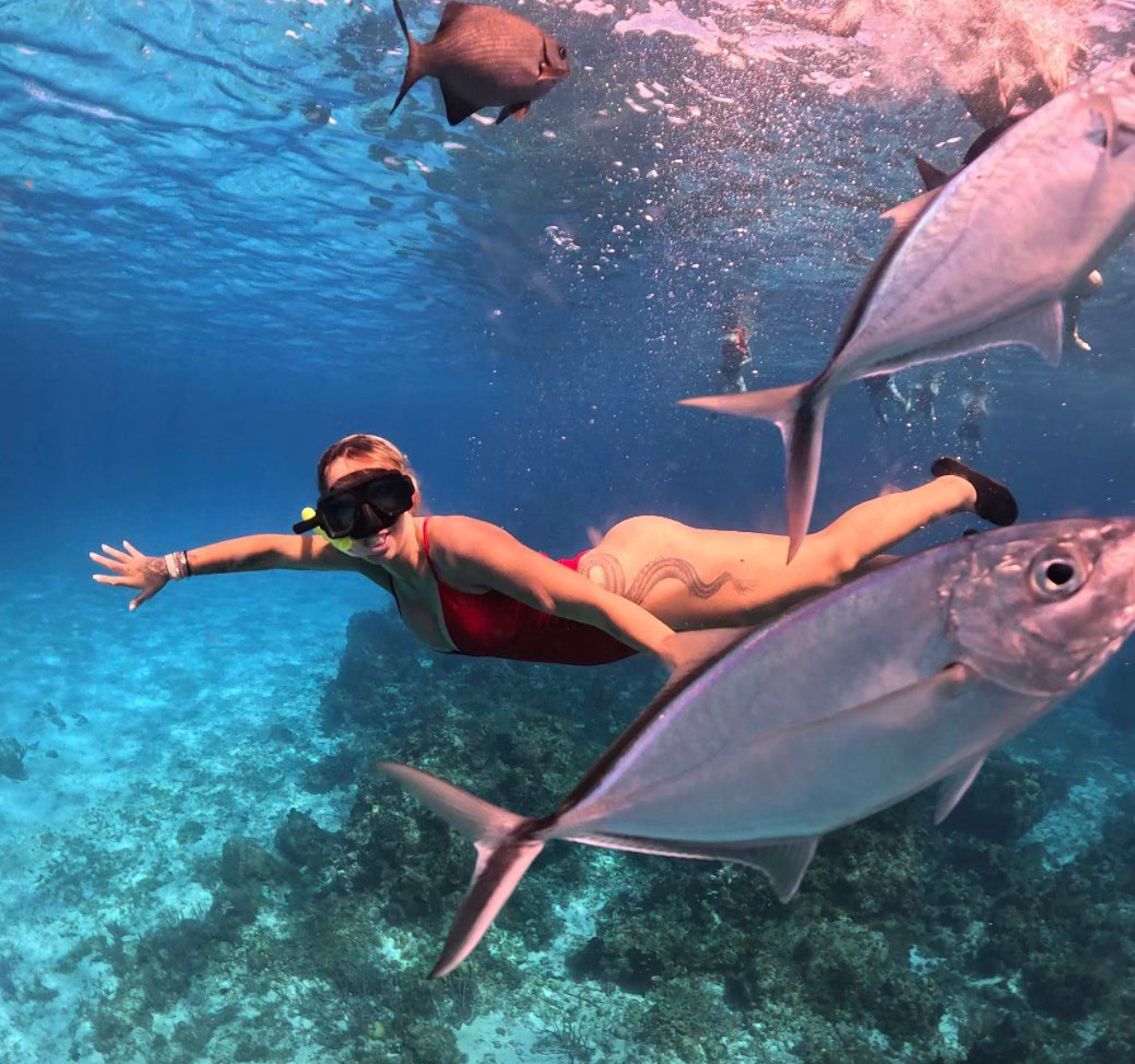 Cozumel Full-Day Adventure: Snorkeling, El Cielo Beach & Lunch