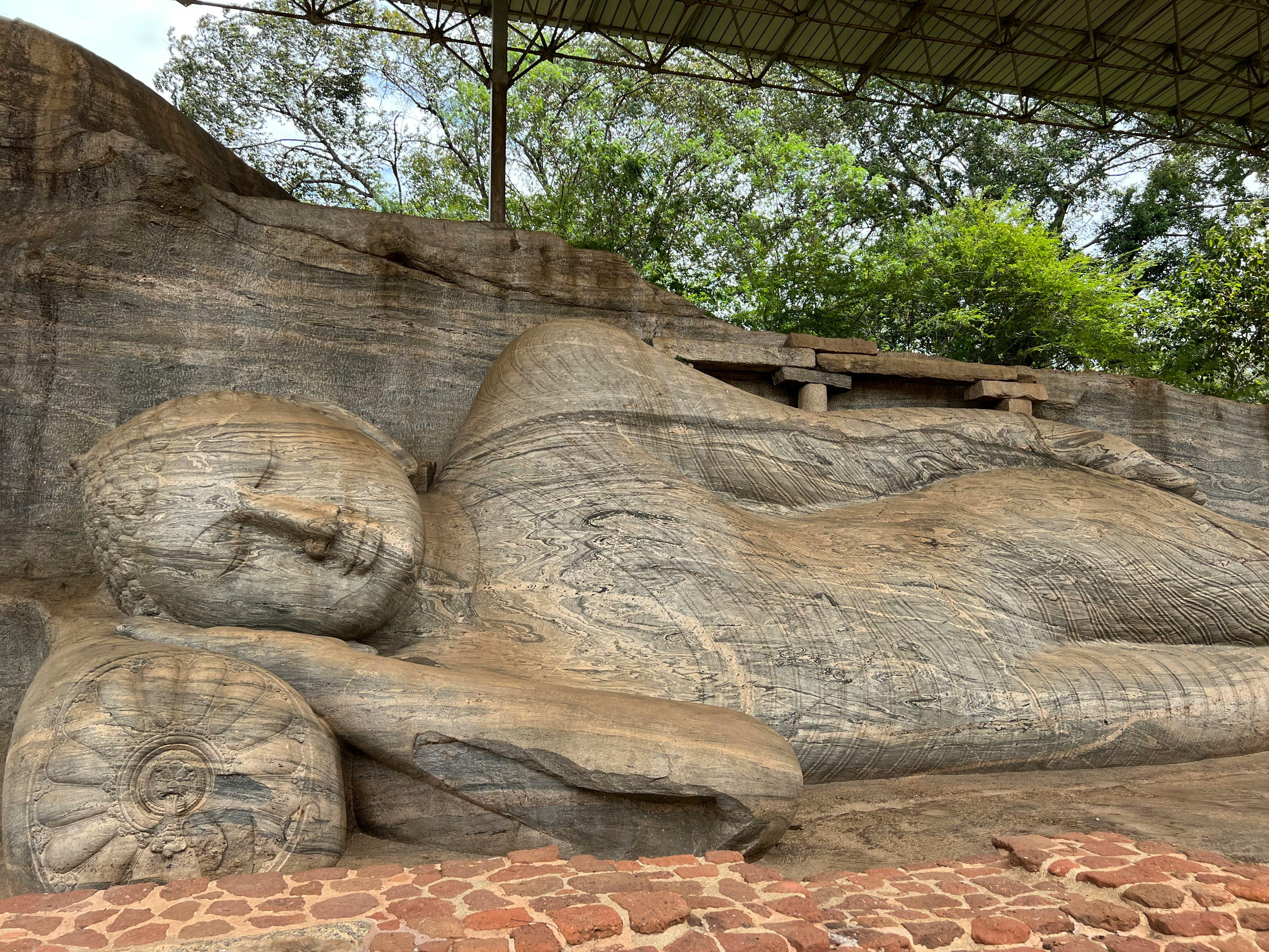 7-Day Luxury Sri Lankan Highlights Tour (2026)