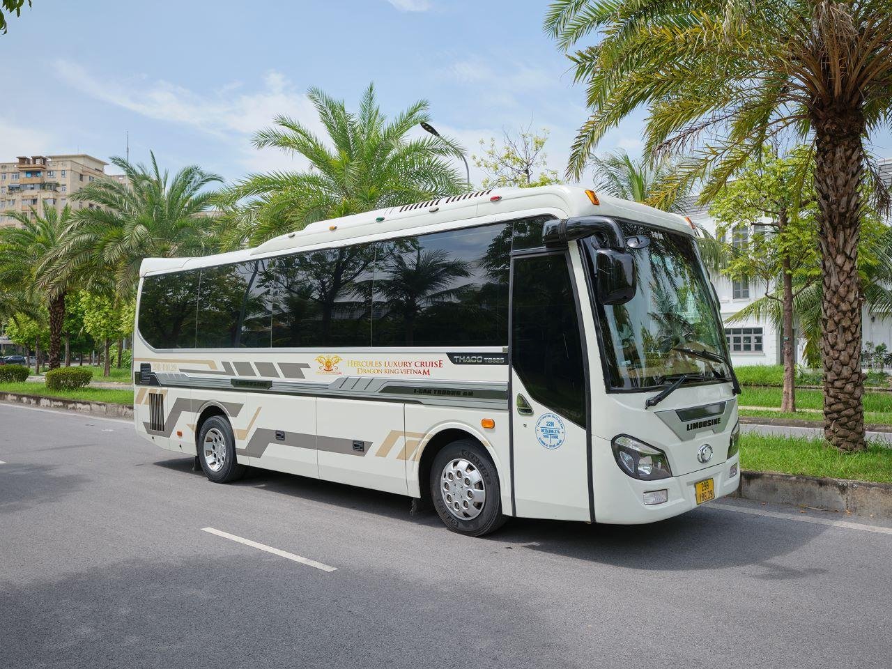 Ha Long Bay Day Trip from Hanoi: Luxury or Standard Cruise with Lunch