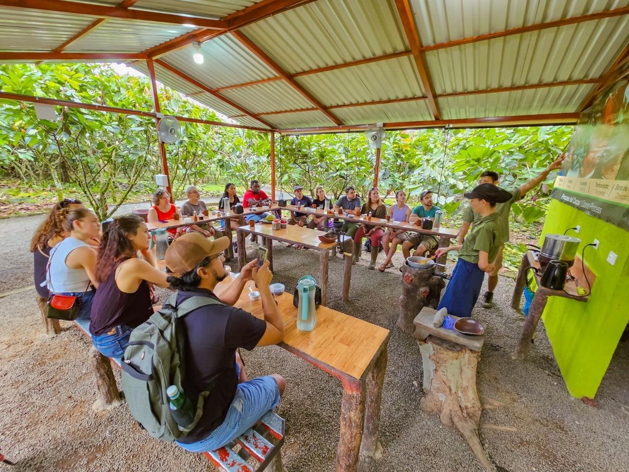 La Fortuna: North Fields Coffee & Chocolate Farm Tour