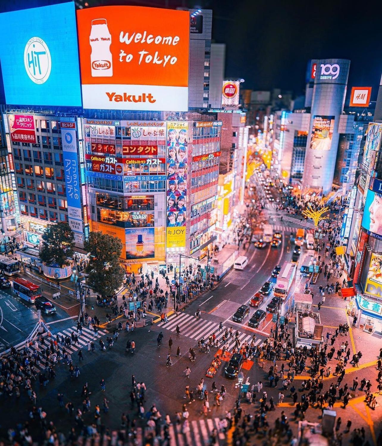 Tokyo Private Car Tour with Hotel Pickup & Drop-off