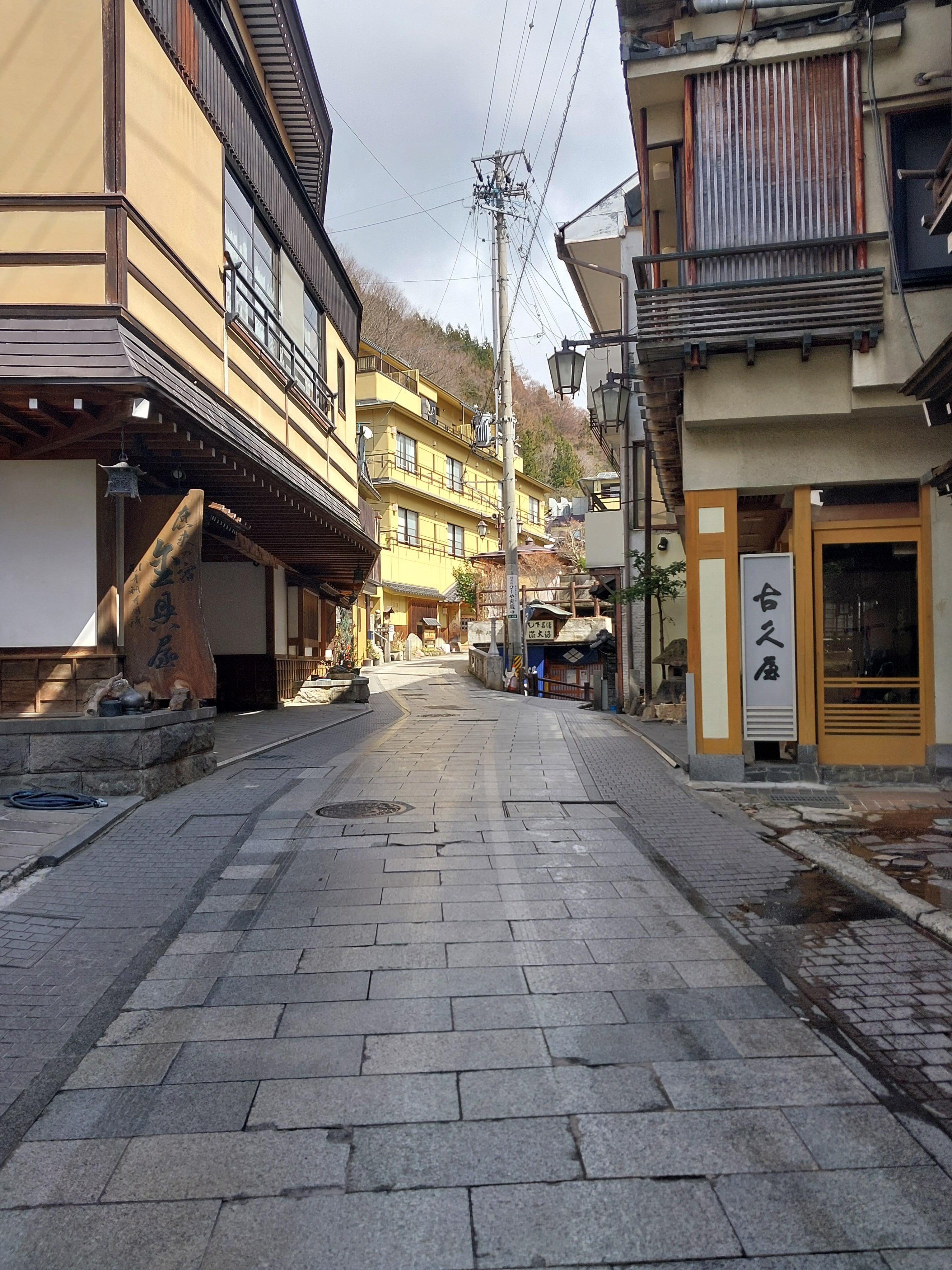 Nagano Snow Monkeys, Soba & Shibu Onsen Half-Day Tour