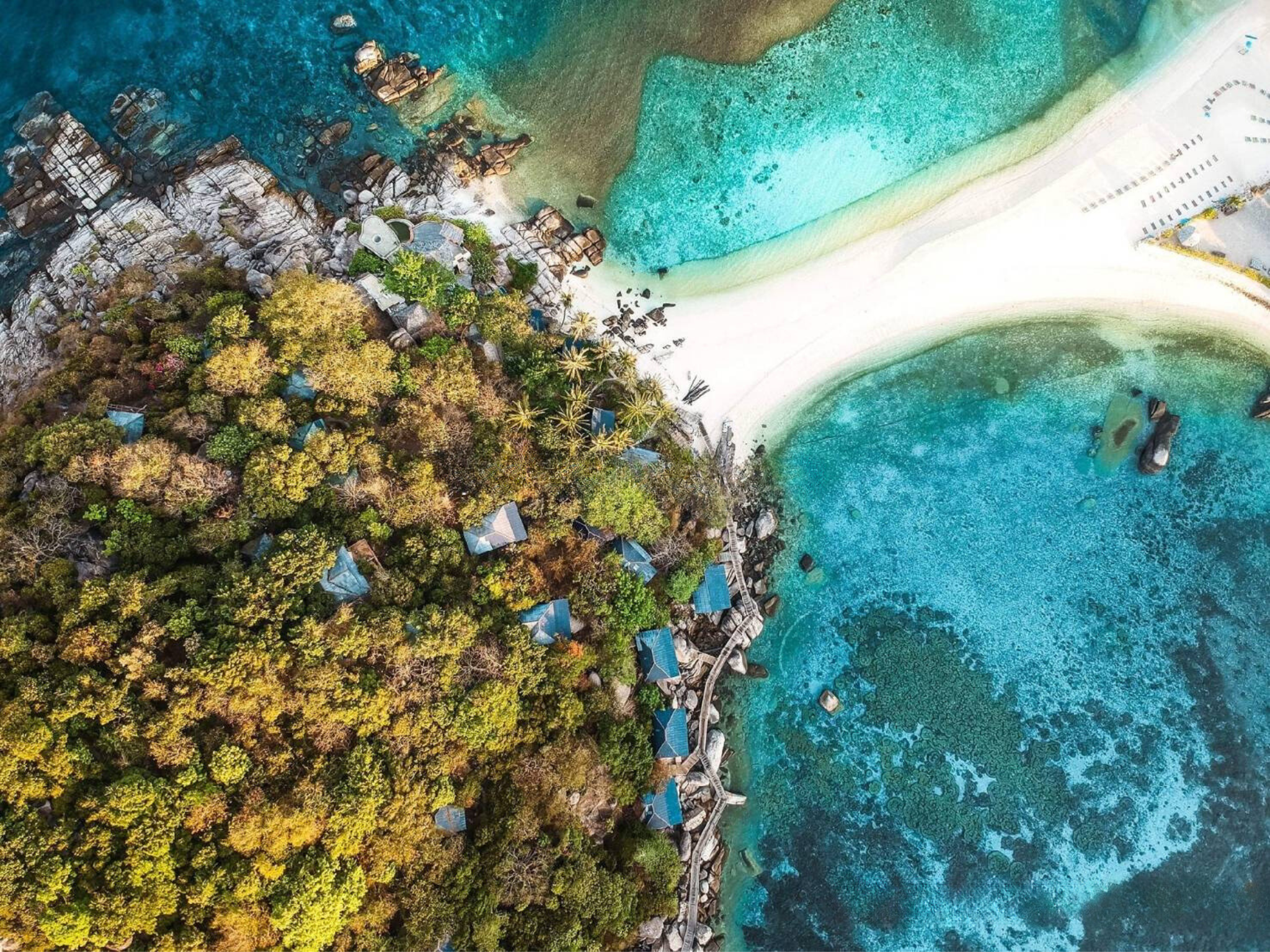 Koh Tao and Nangyuan Snorkeling Speedboat Adventure from Samui