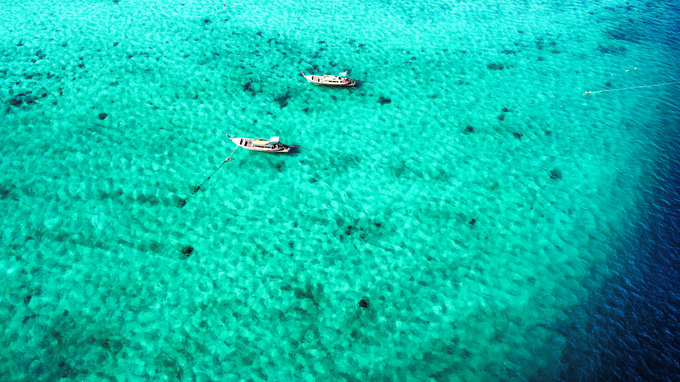 Phuket Speedboat Day Trip: Maya Bay, Phi Phi & Bamboo Island with Buffet Lunch