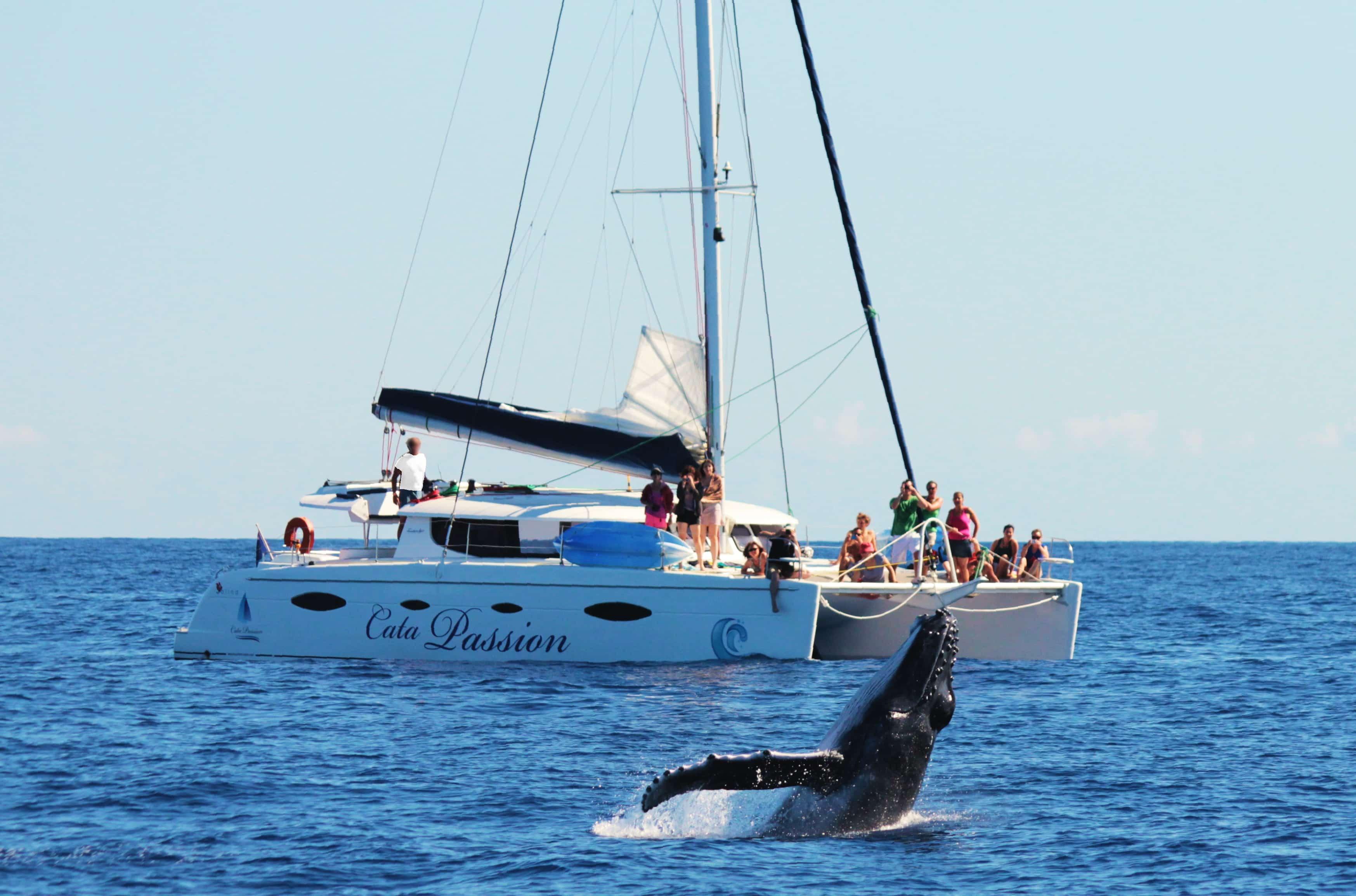 Lounge Catamaran Sail along Réunion's West Coast