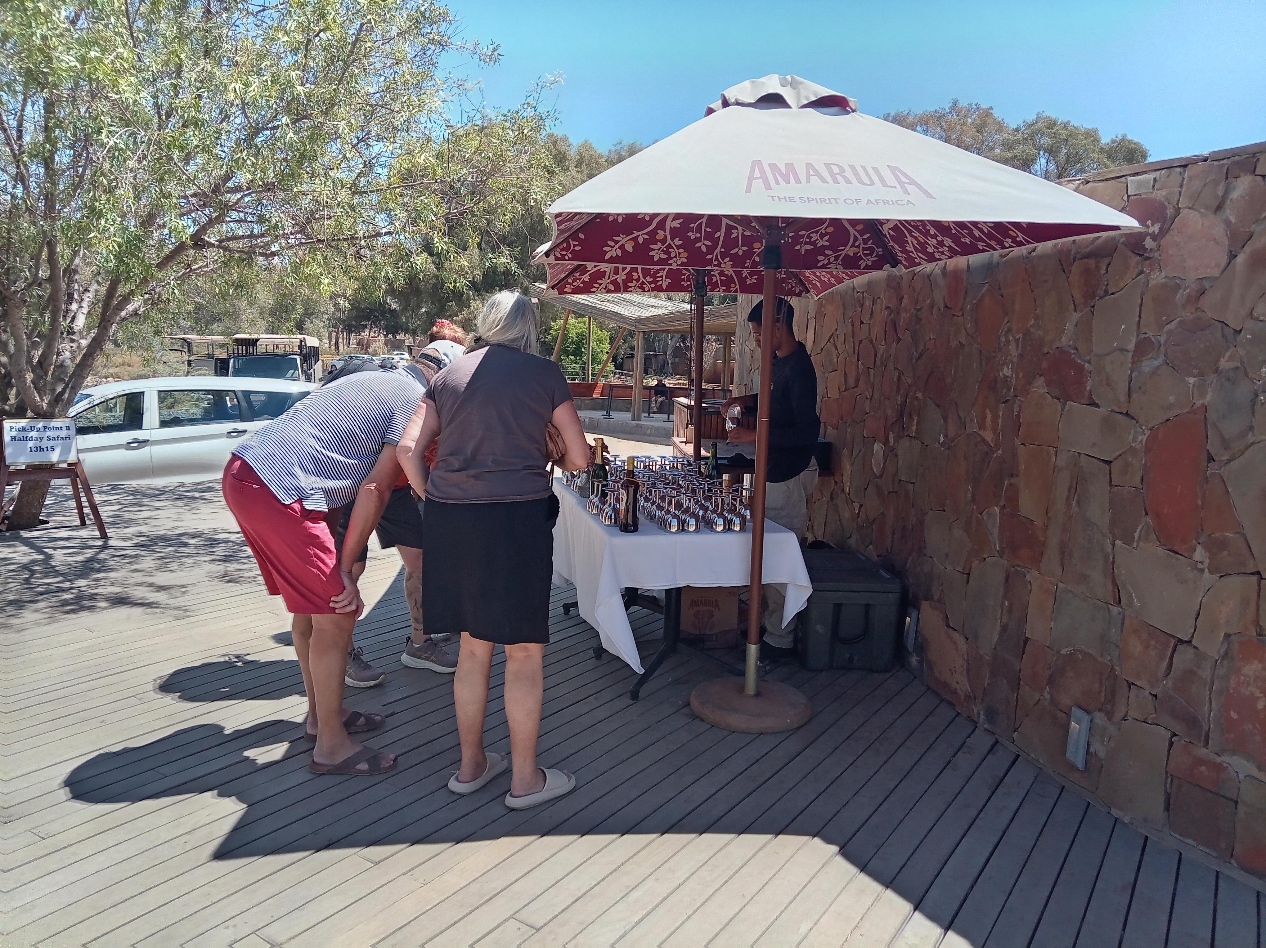 Cape Town Big Five Sunset Safari with Buffet & Hotel Transfers