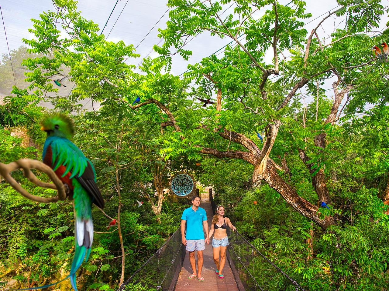 Xcaret Park Full-Day Pass from Playa del Carmen