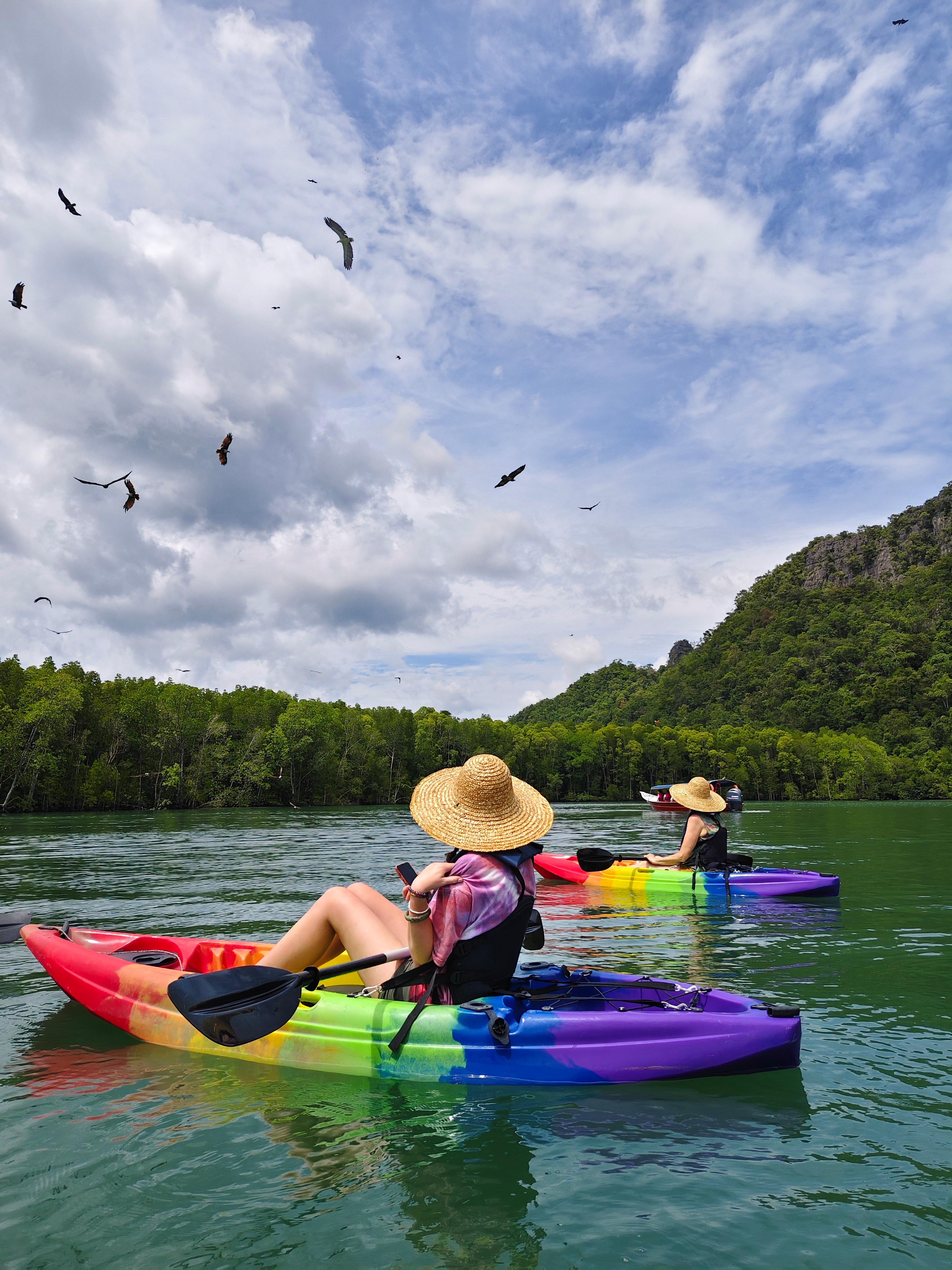 Kilim Geoforest Mangrove Kayak Adventure with Lunch