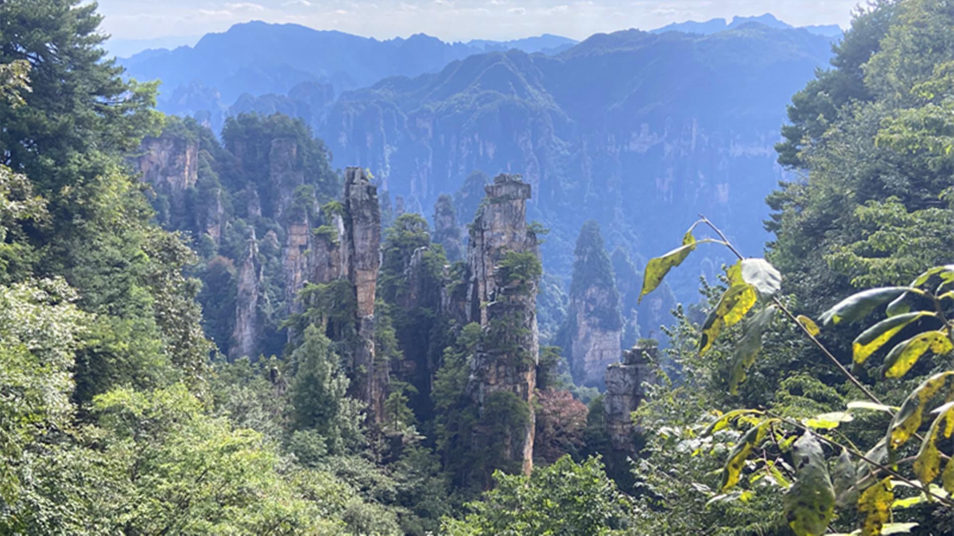 Zhangjiajie National Forest Park: Private Full-Day Tour with Transport