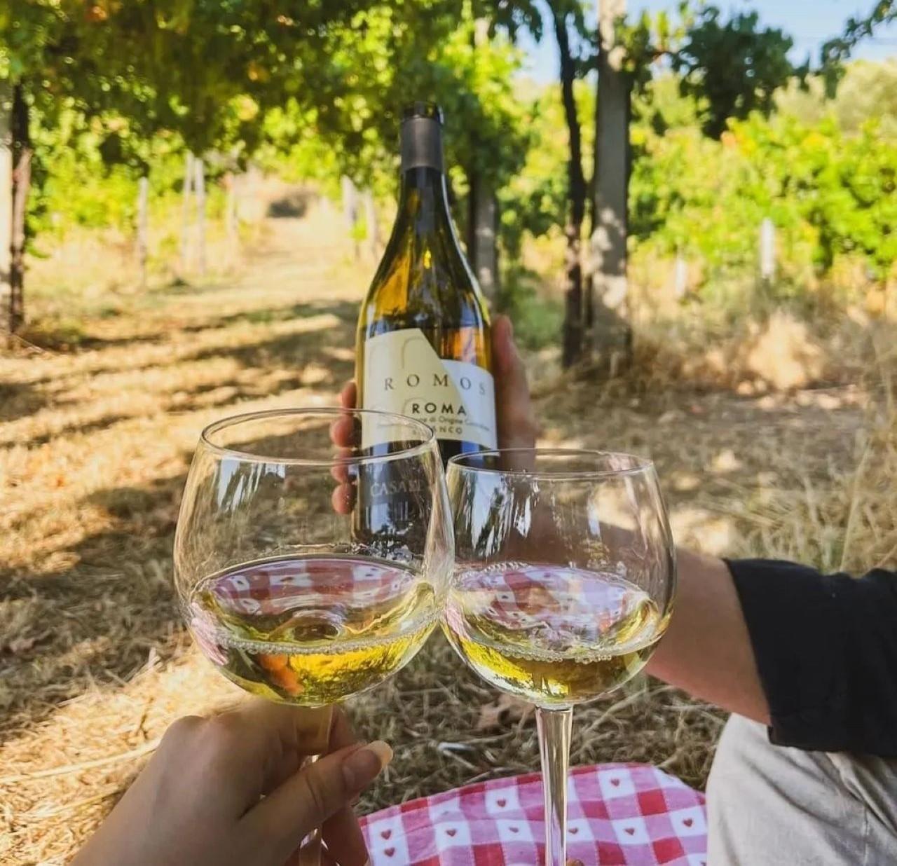 Vineyard Picnic with Wine & Local Delicacies