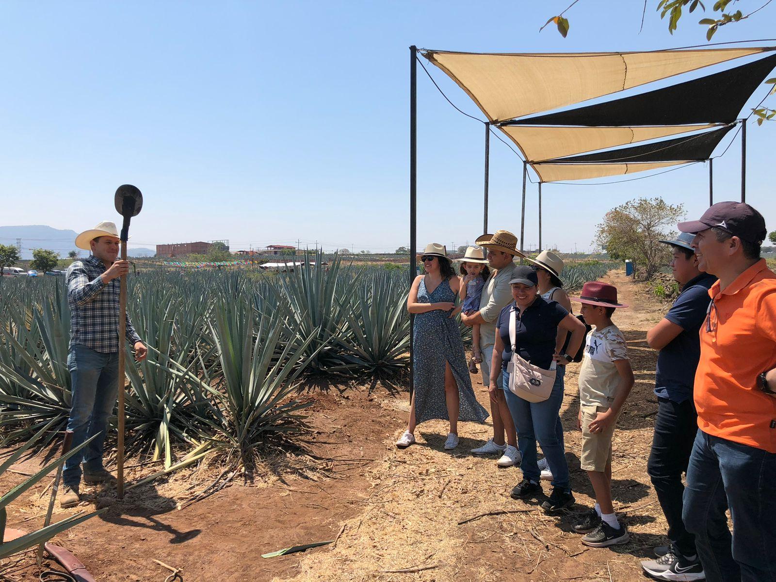 tequila tour in Guadalajara — Classic Tequila Route Tour from Guadalajara with El Güero Shot Glasses!!! - 2026 (Verified Reviews)