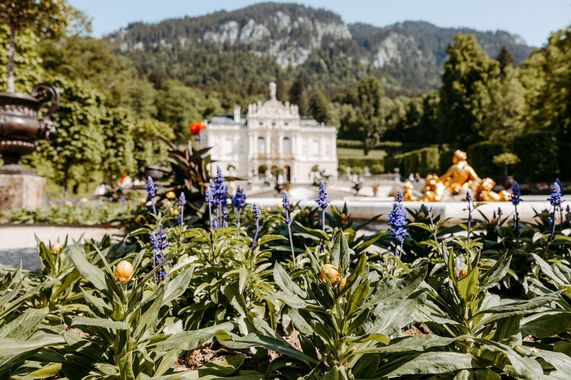 Neuschwanstein Castle tour and Bavarian Alps scenery — image 20