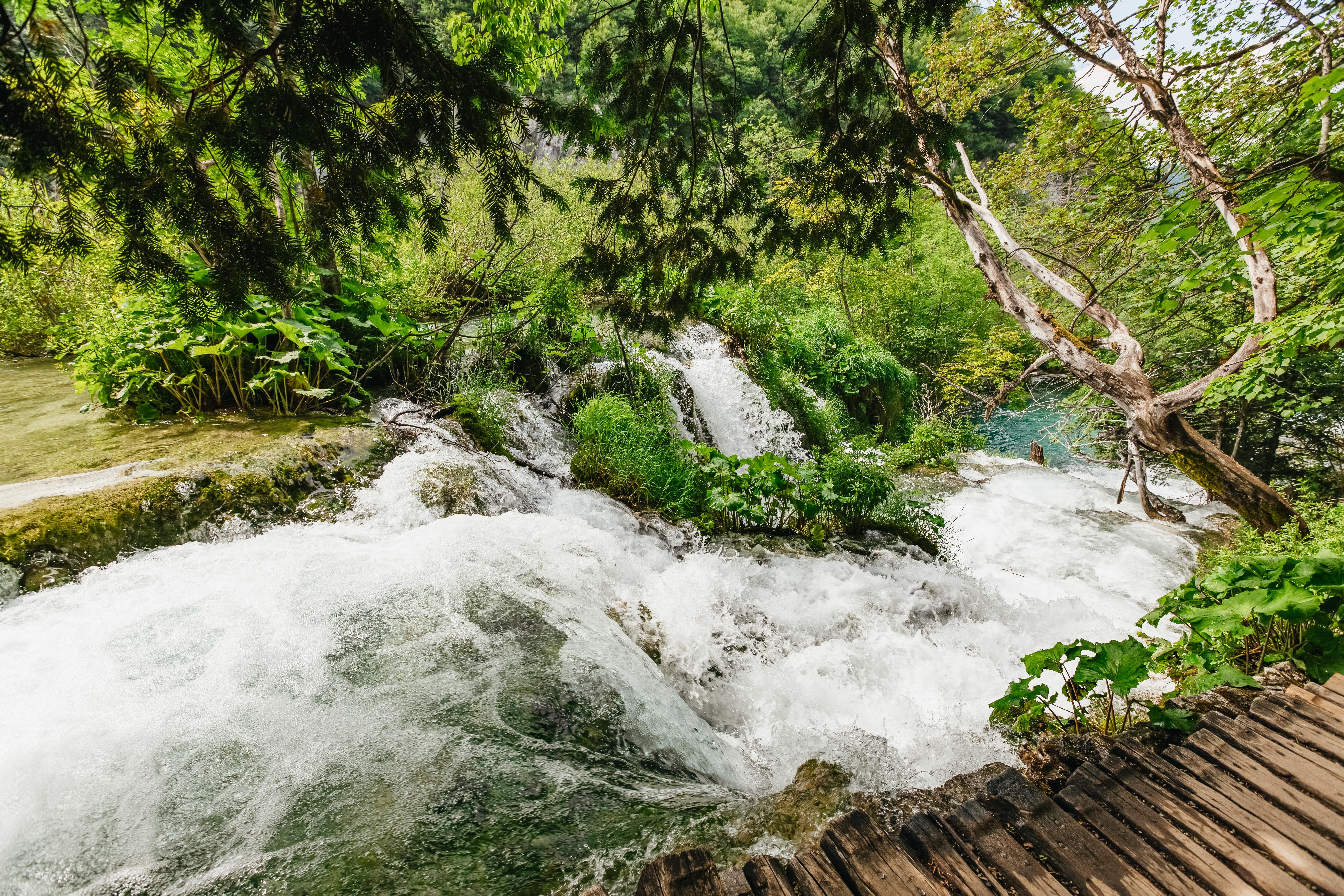 Split to Plitvice Lakes National Park Guided Day Trip