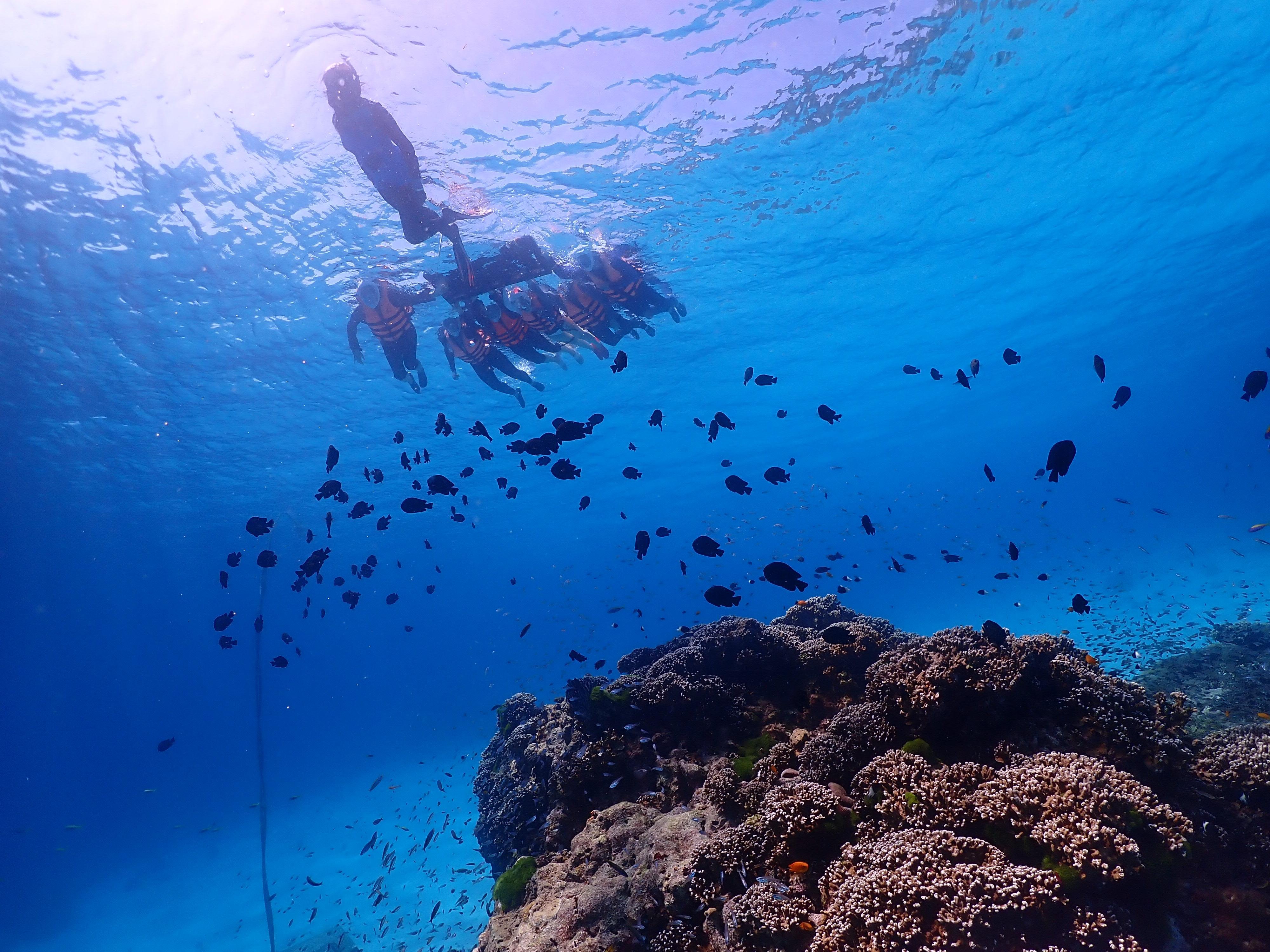 Similan Islands Full-Day Snorkeling Adventure from Khao Lak