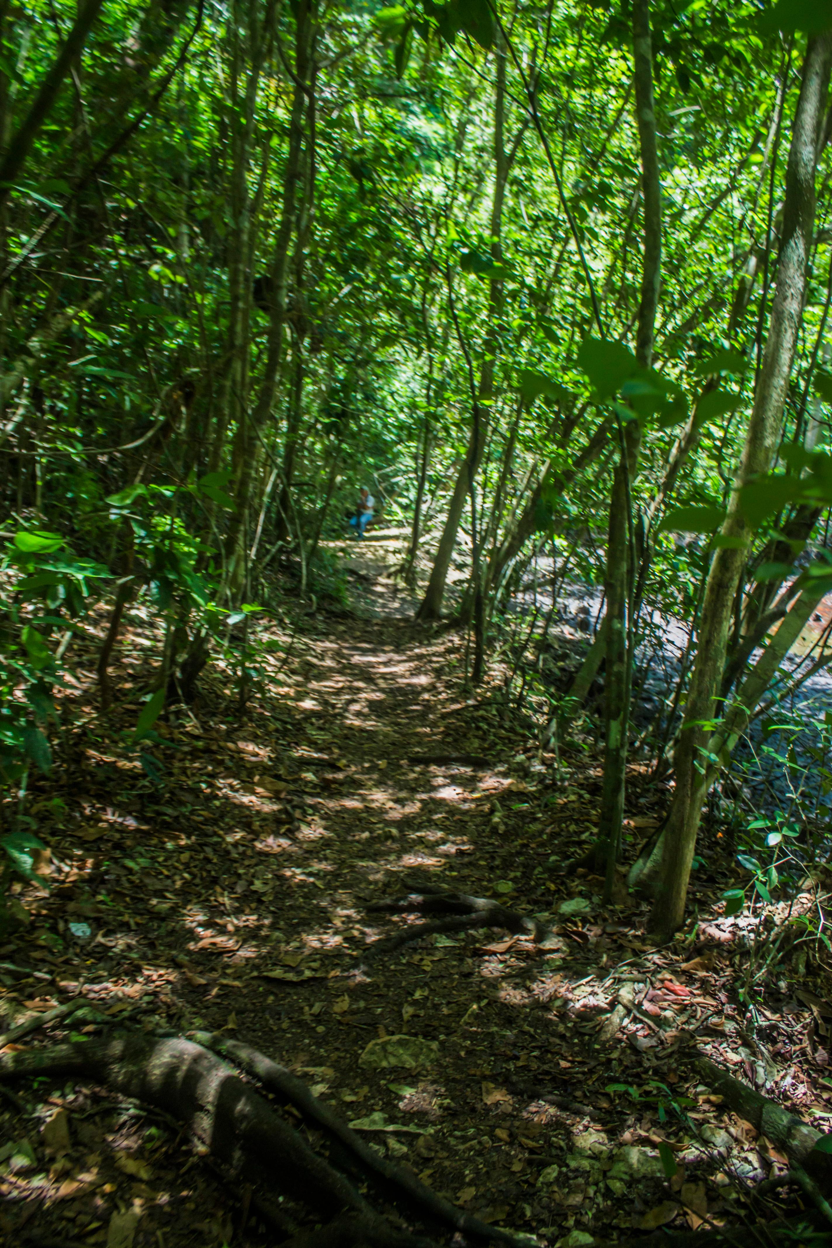 Dominican Republic 3-in-1: Los Haitises, Yanigua Falls & Montaña Redonda