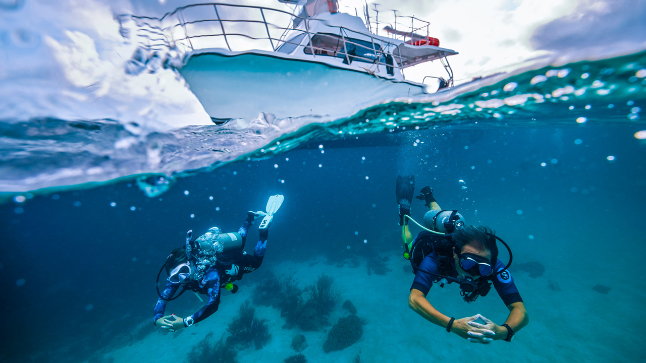 Las Catalinas Discover Scuba Diving Experience