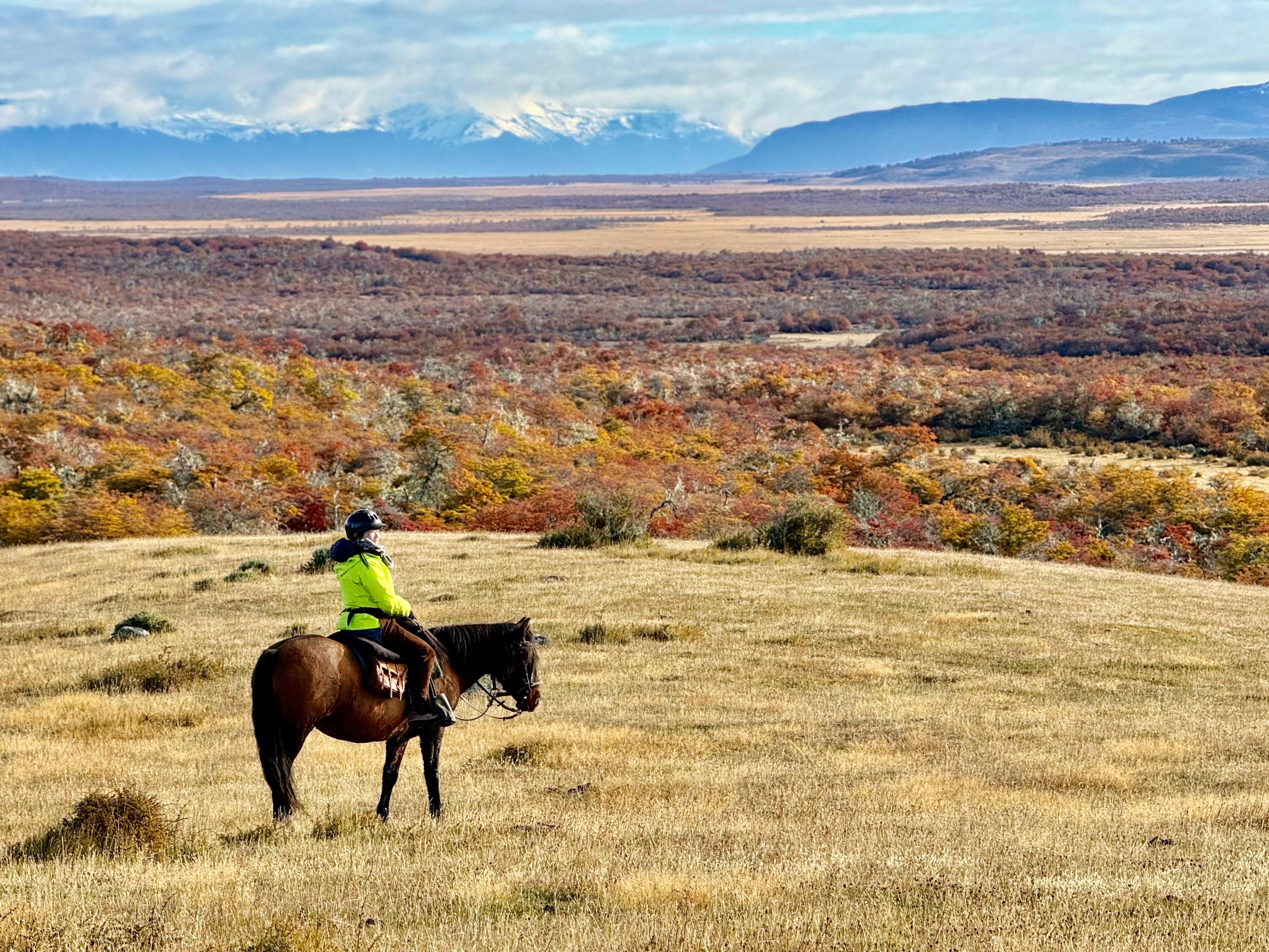 Full-Day Horseback Journey to the Argentine Border