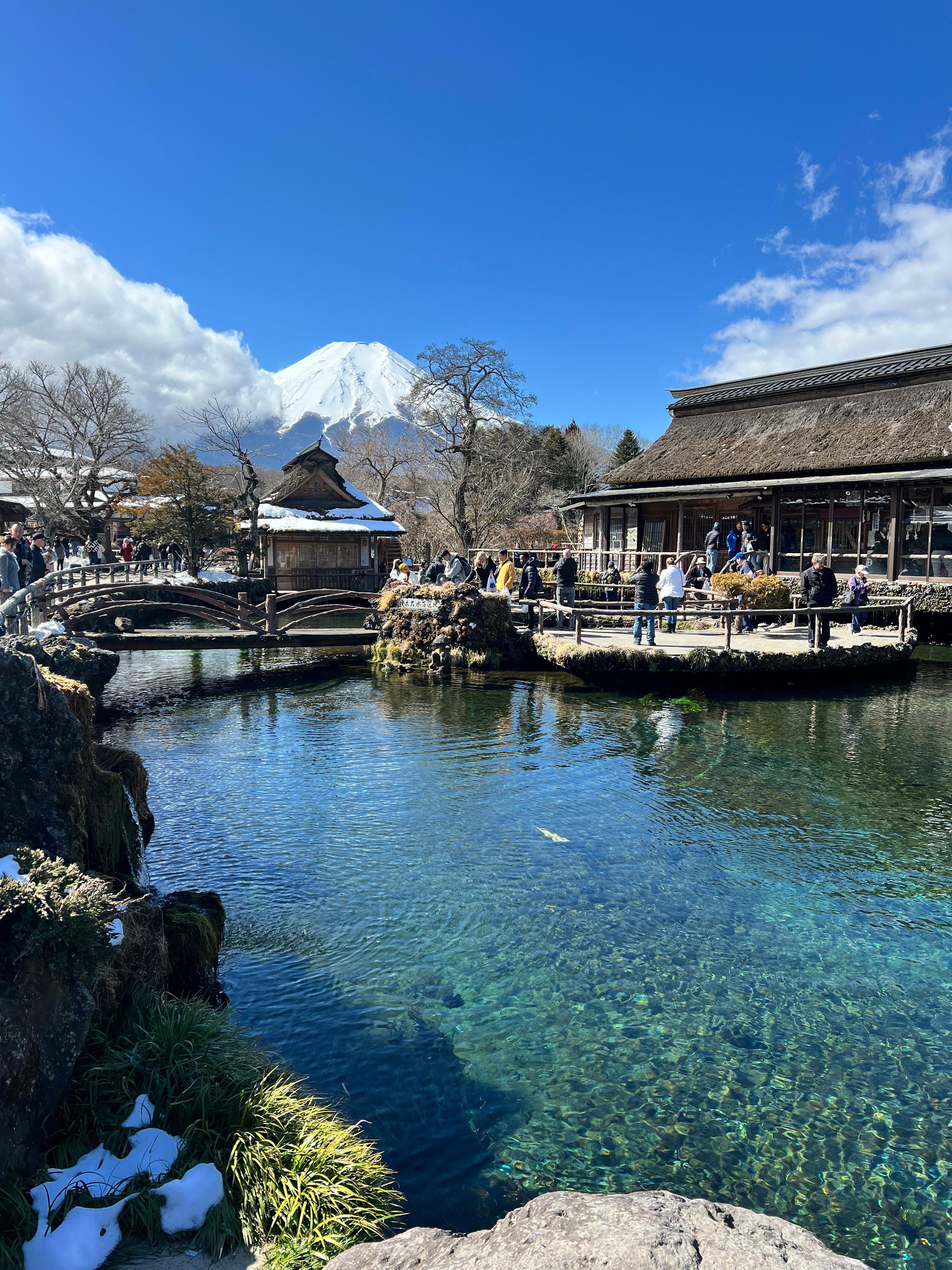Mount Fuji & Hakone Private Full-Day Tour from Tokyo