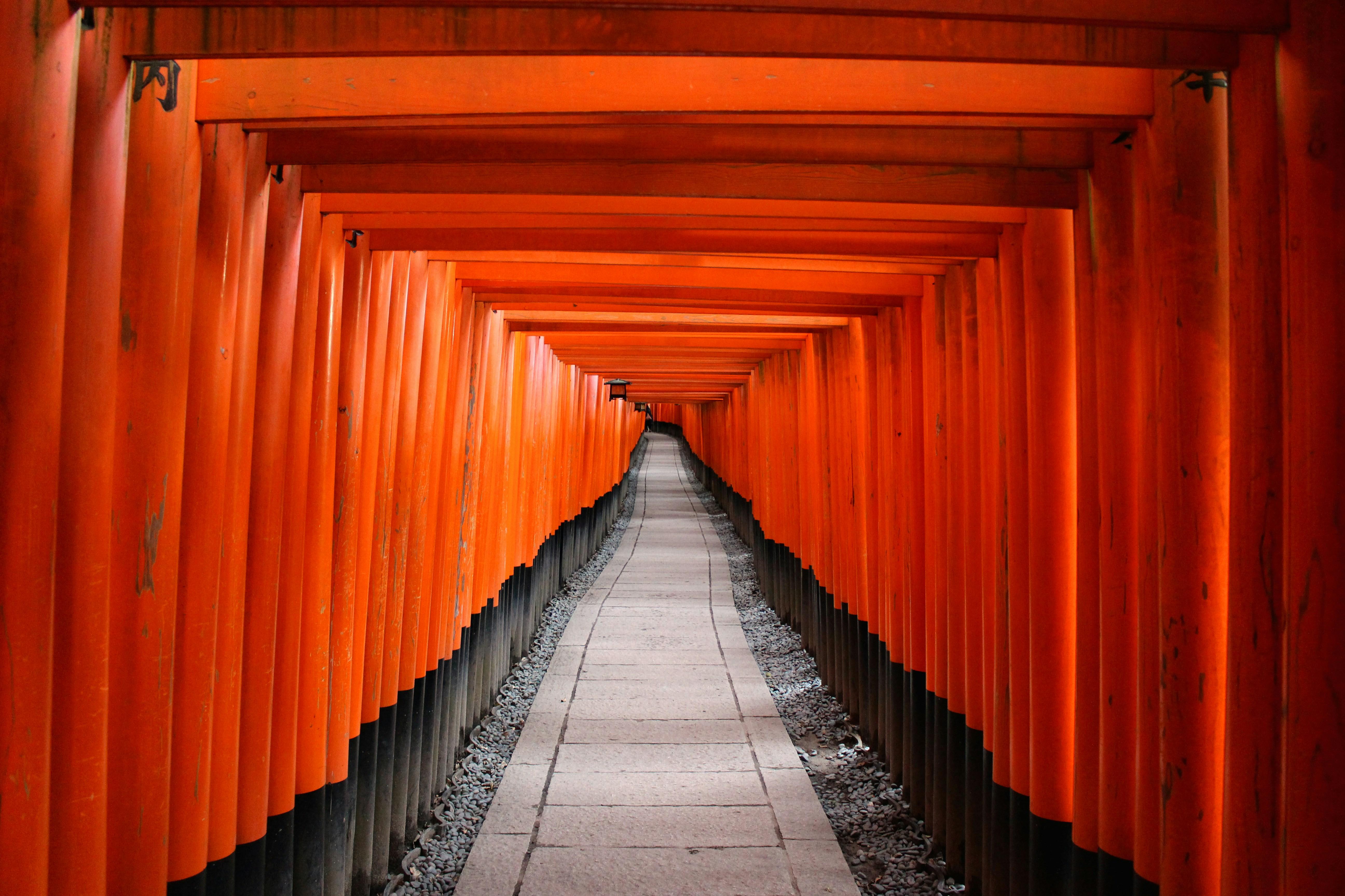 Kyoto Early Bird: Fushimi Inari, Nijo Castle & Kinkaku-ji