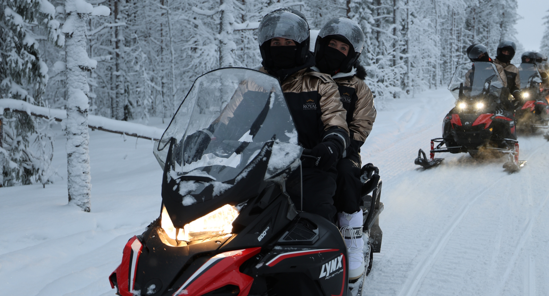 Rovaniemi Arctic Snowmobile Safari with Local Guide