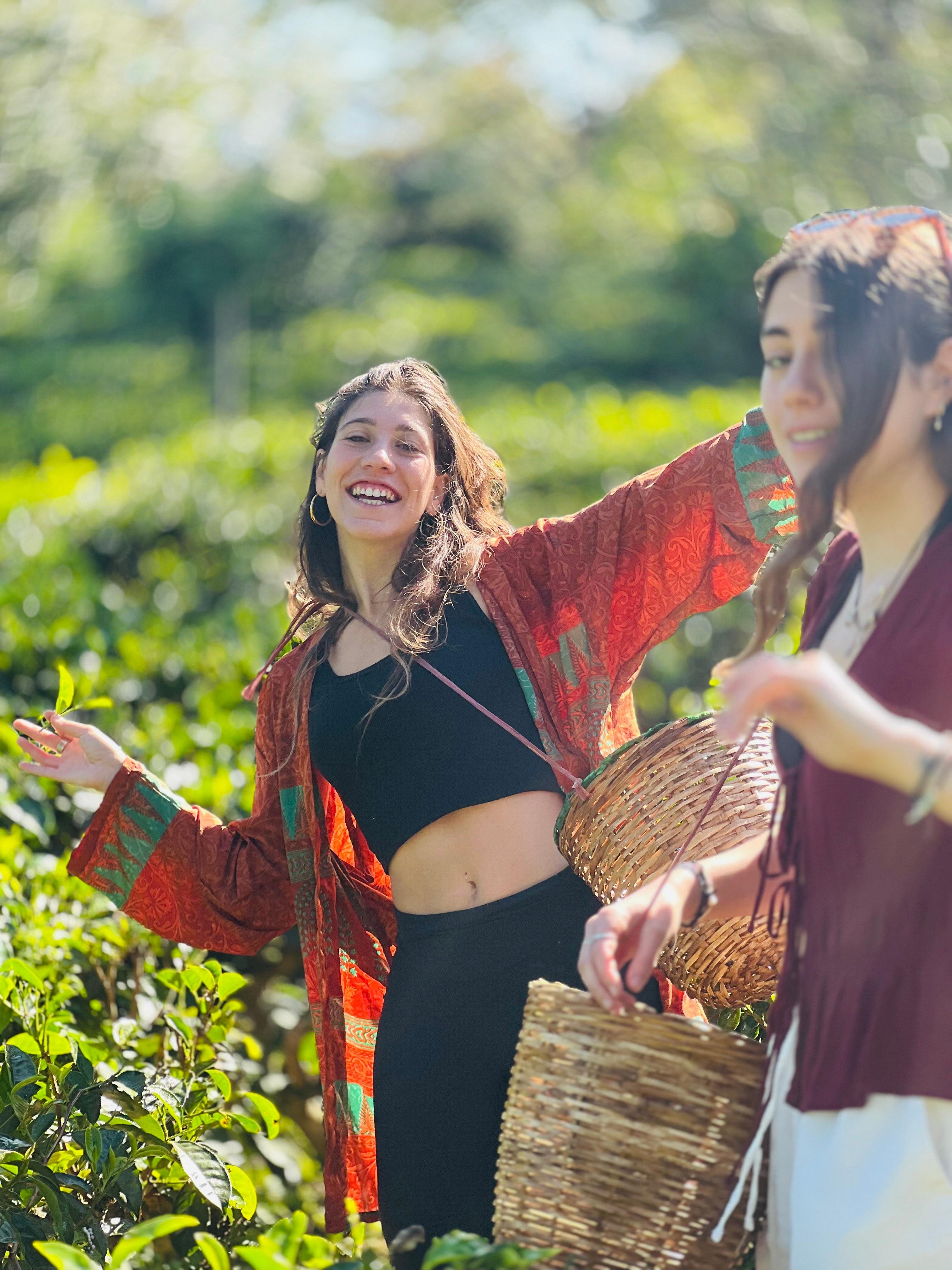Ella: Hands-On Tea Crafting and Tasting Experience