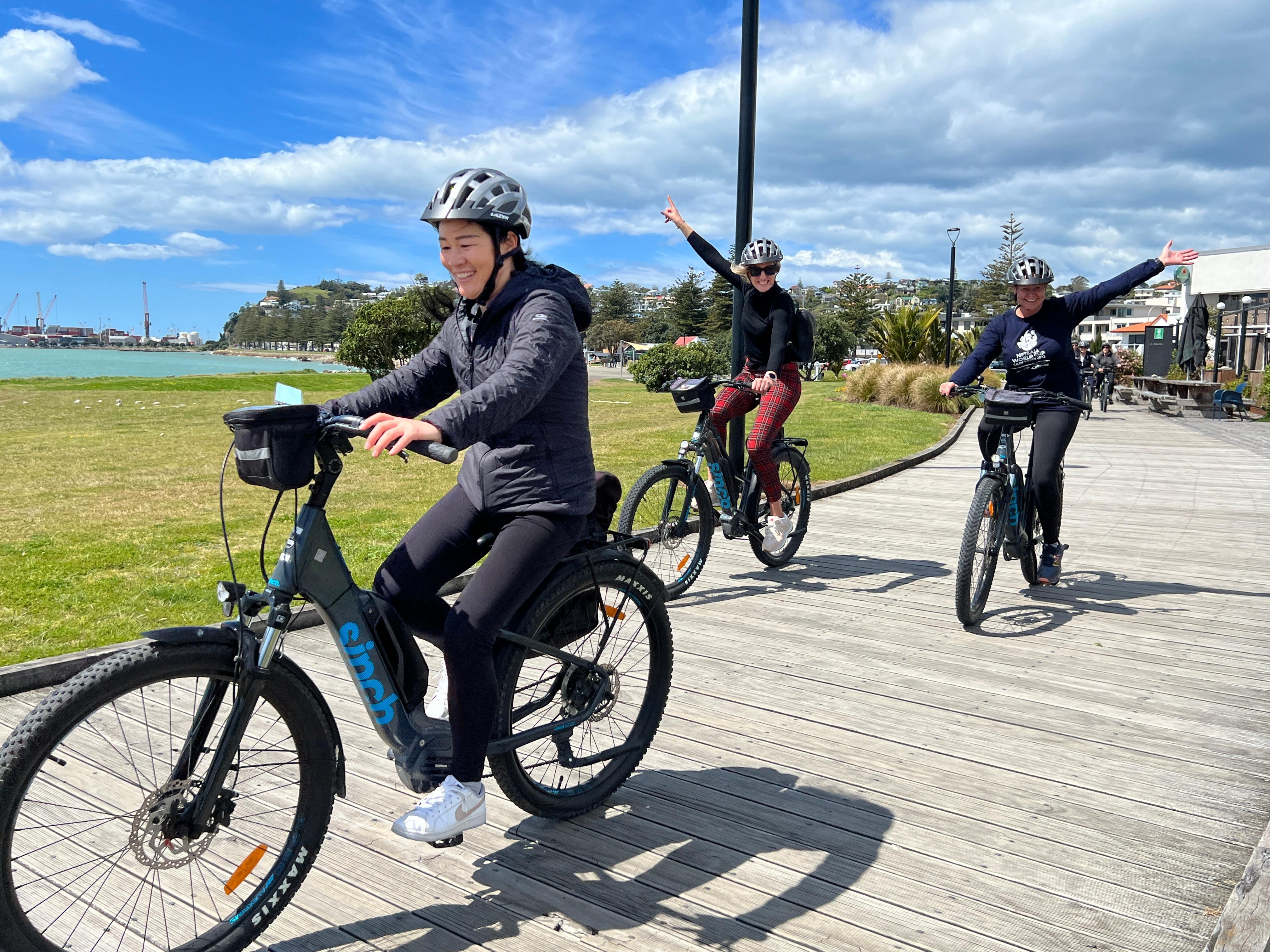 Self-Guided Winery Bike Tour from Napier Cruise Port