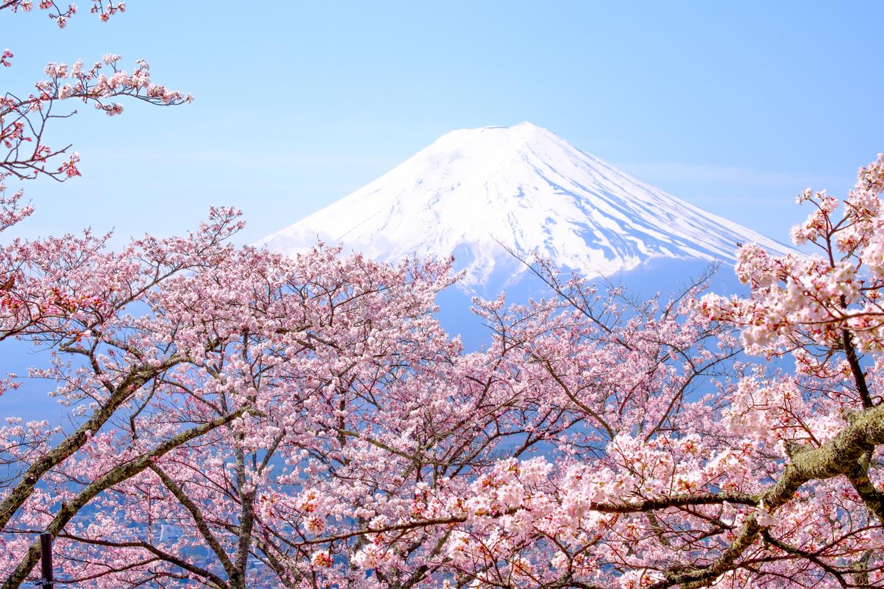 Mt. Fuji Day Tour: Scenic Stops & Lake Kawaguchi Cruise from Tokyo