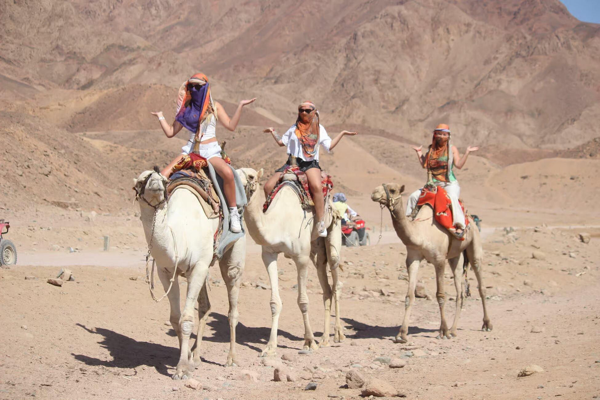 Sharm El-Sheikh: Colored Canyon, Blue Hole & Dahab Jeep Day Trip