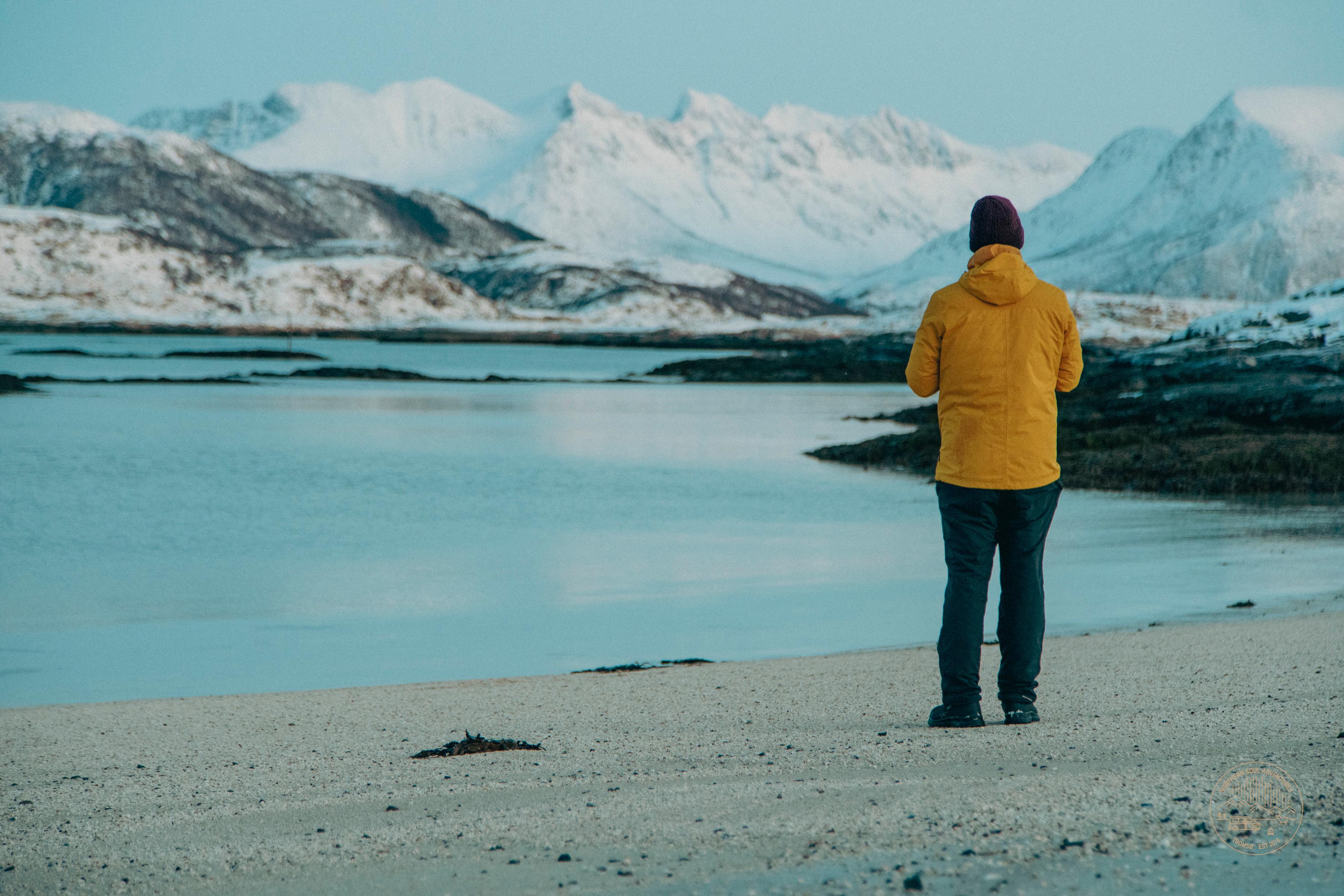 Arctic Roadtrip: Fjords & Wilderness from Tromsø