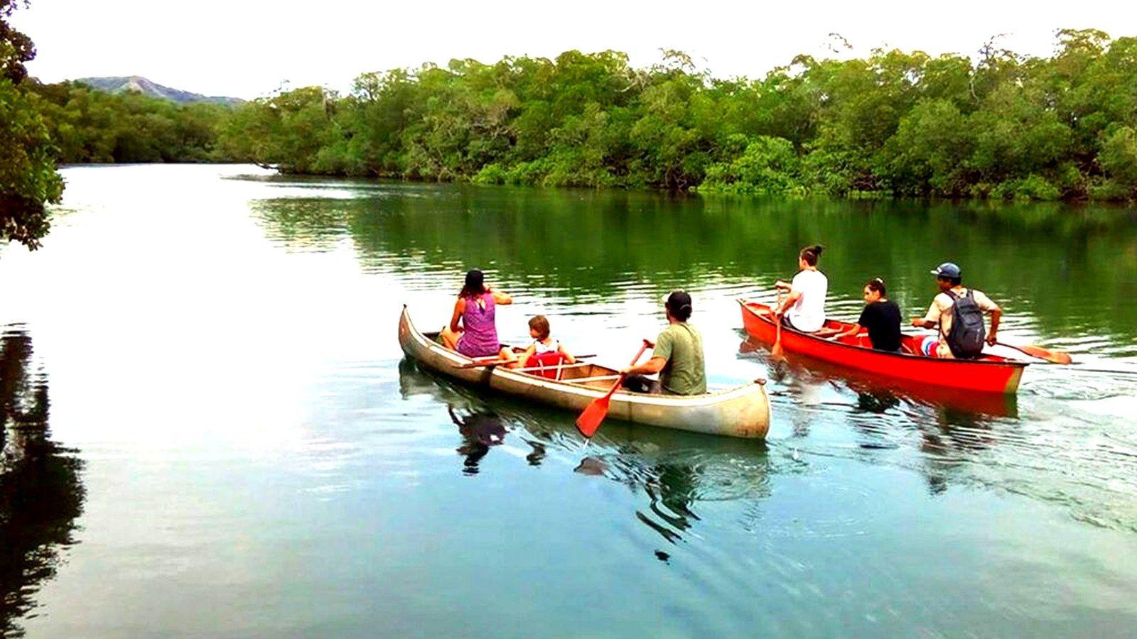 Mangrove Canoe Tour Through Las Baulas National Park