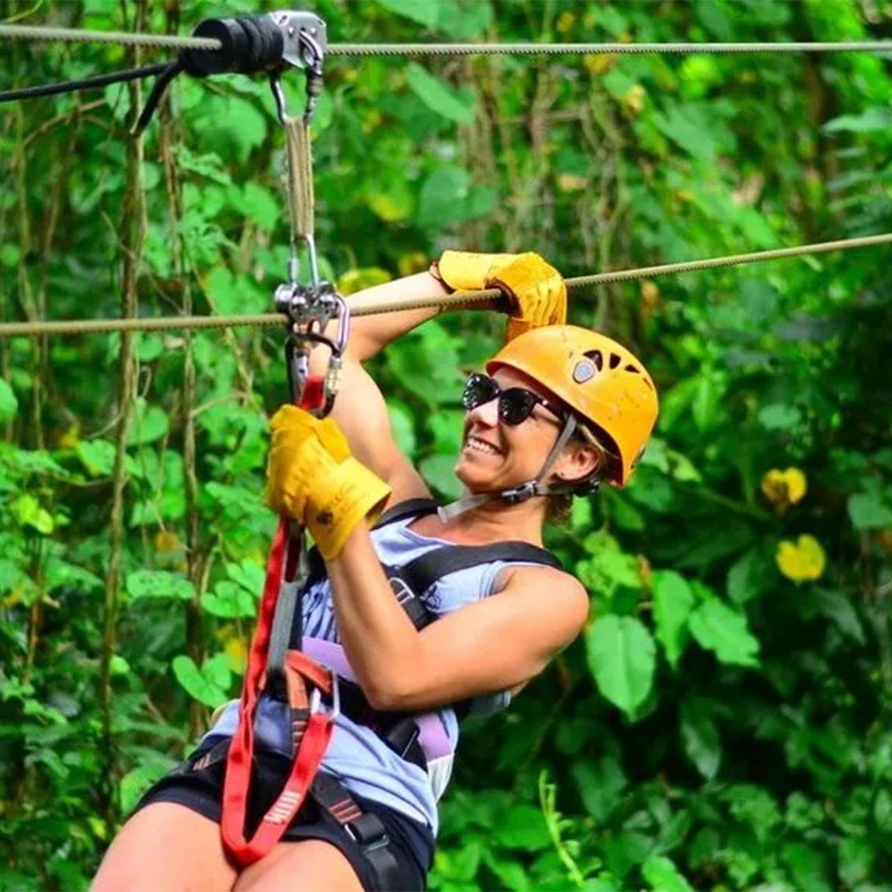 Punta Cana Half-Day Zipline Adventure