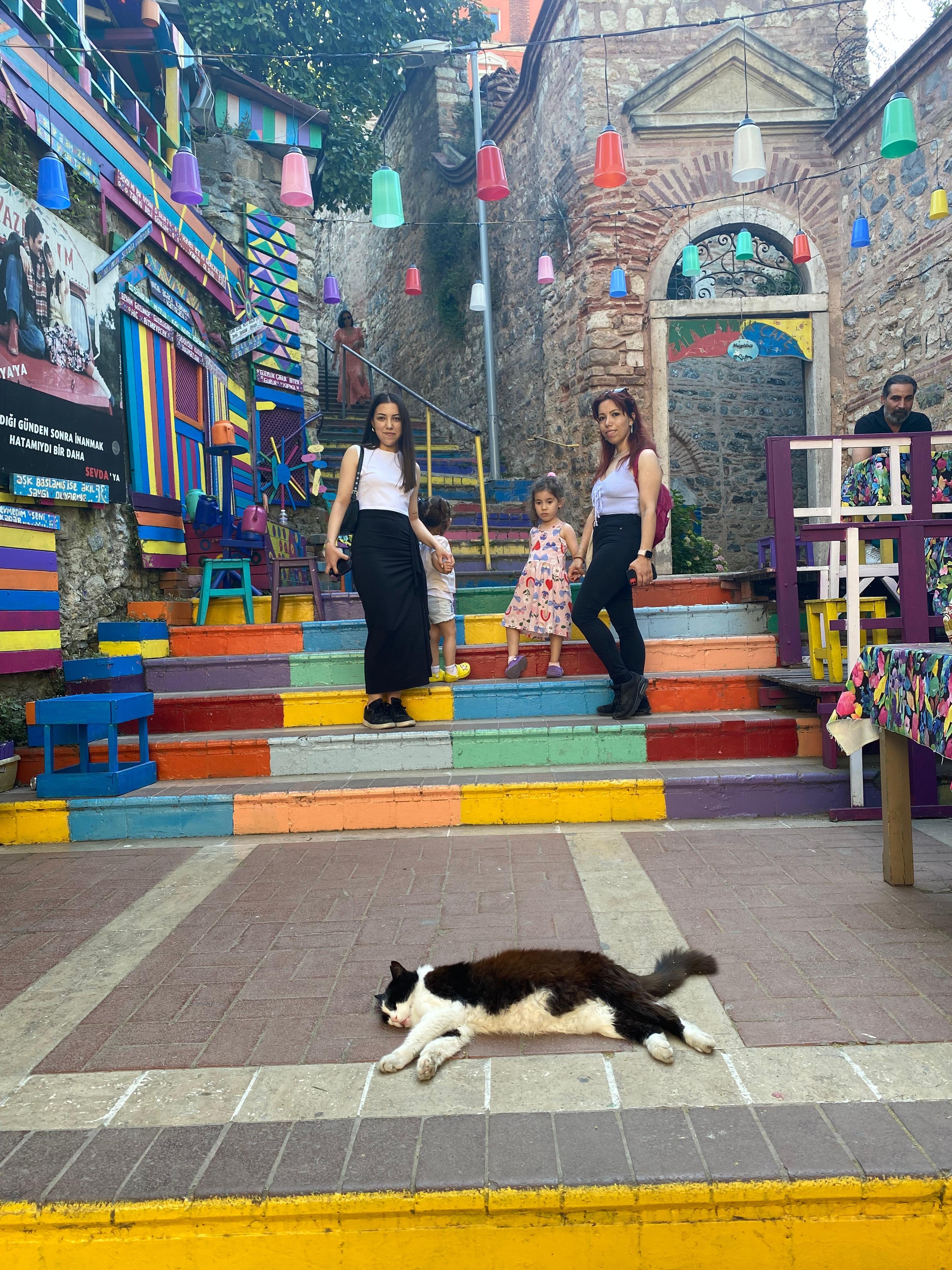 Istanbul Layover Private Sightseeing Tour
