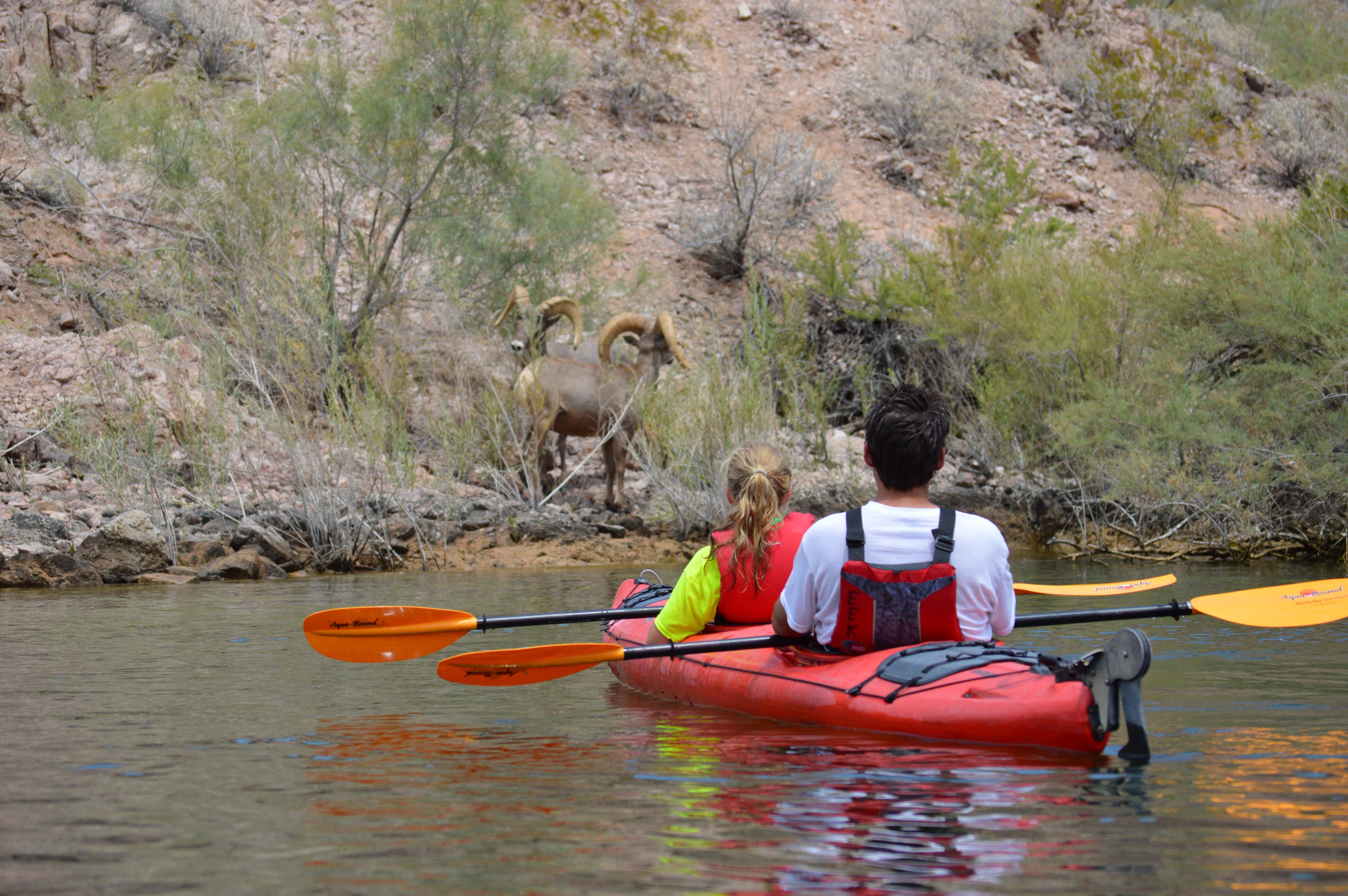Emerald Cave Kayaking: Premium Colorado River Expedition
