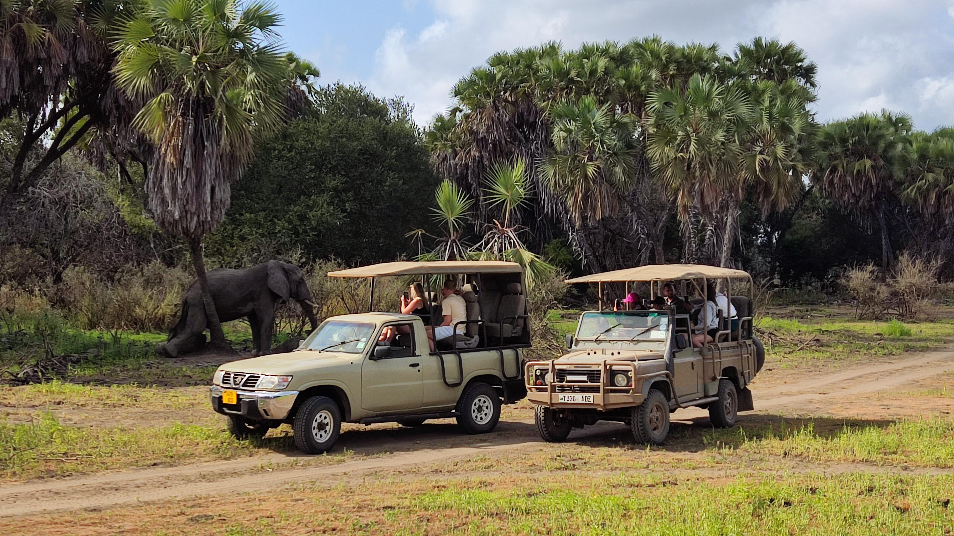 Zanzibar to Selous Game Reserve: Fly-In Day Safari