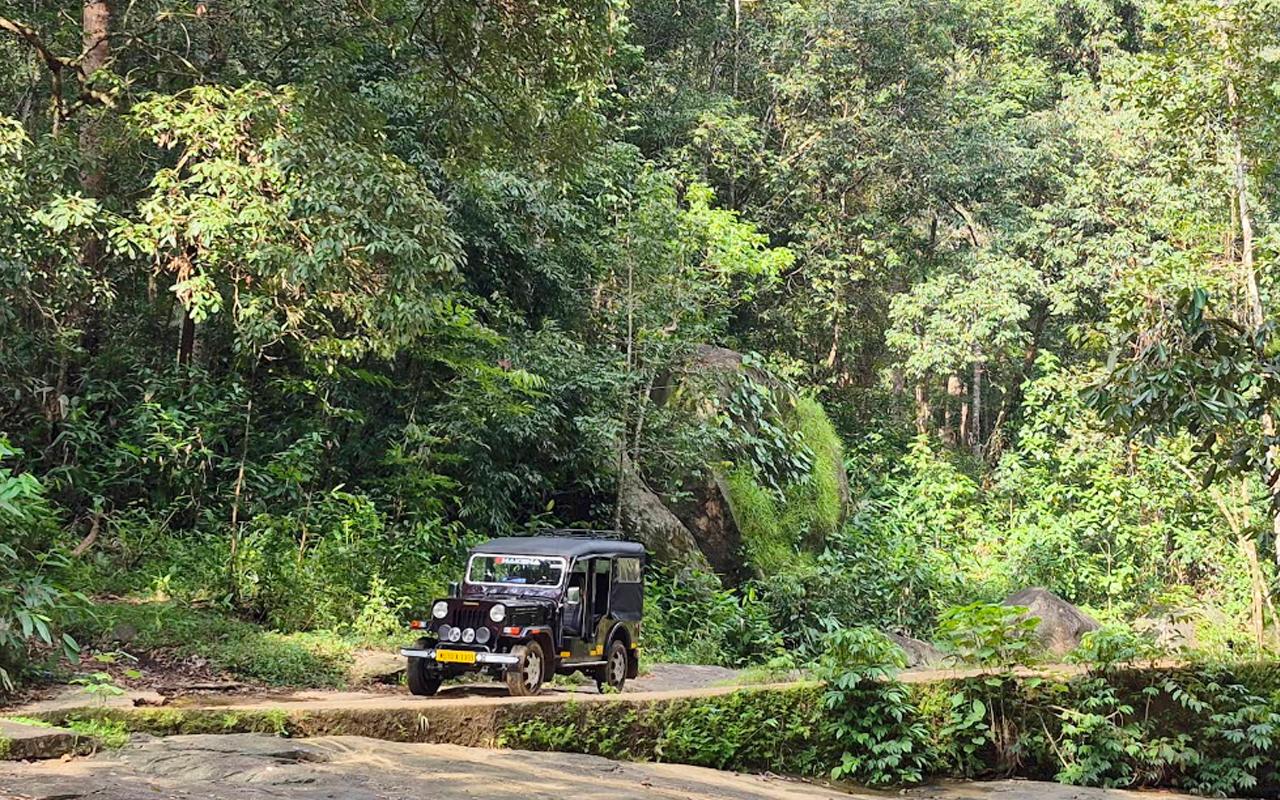Mankulam Eco-Village & Jeep Safari Day Trip from Coimbatore