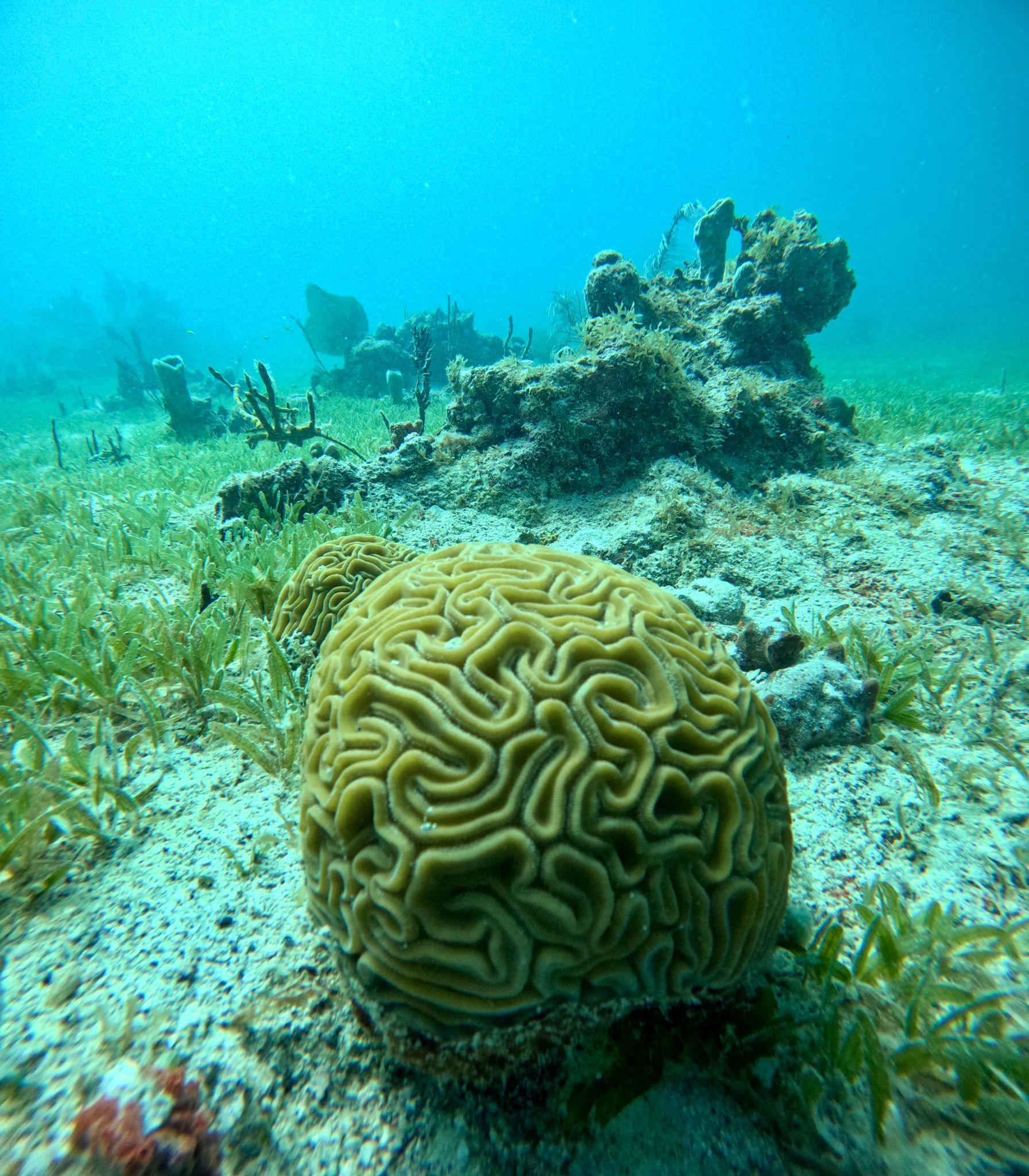 Culebra Island Snorkeling & Sailing Adventure from Fajardo