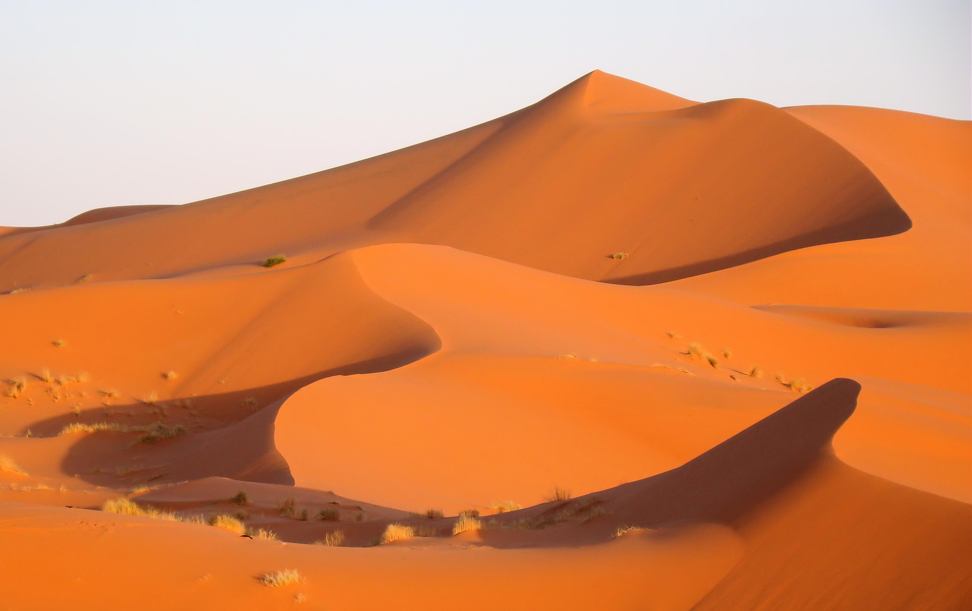 3-Day Fes to Sahara Desert Adventure & Return