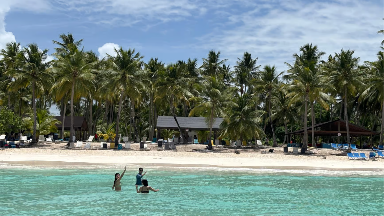 Punta Cana: Saona Island Escape by Catamaran with Lunch & Open Bar