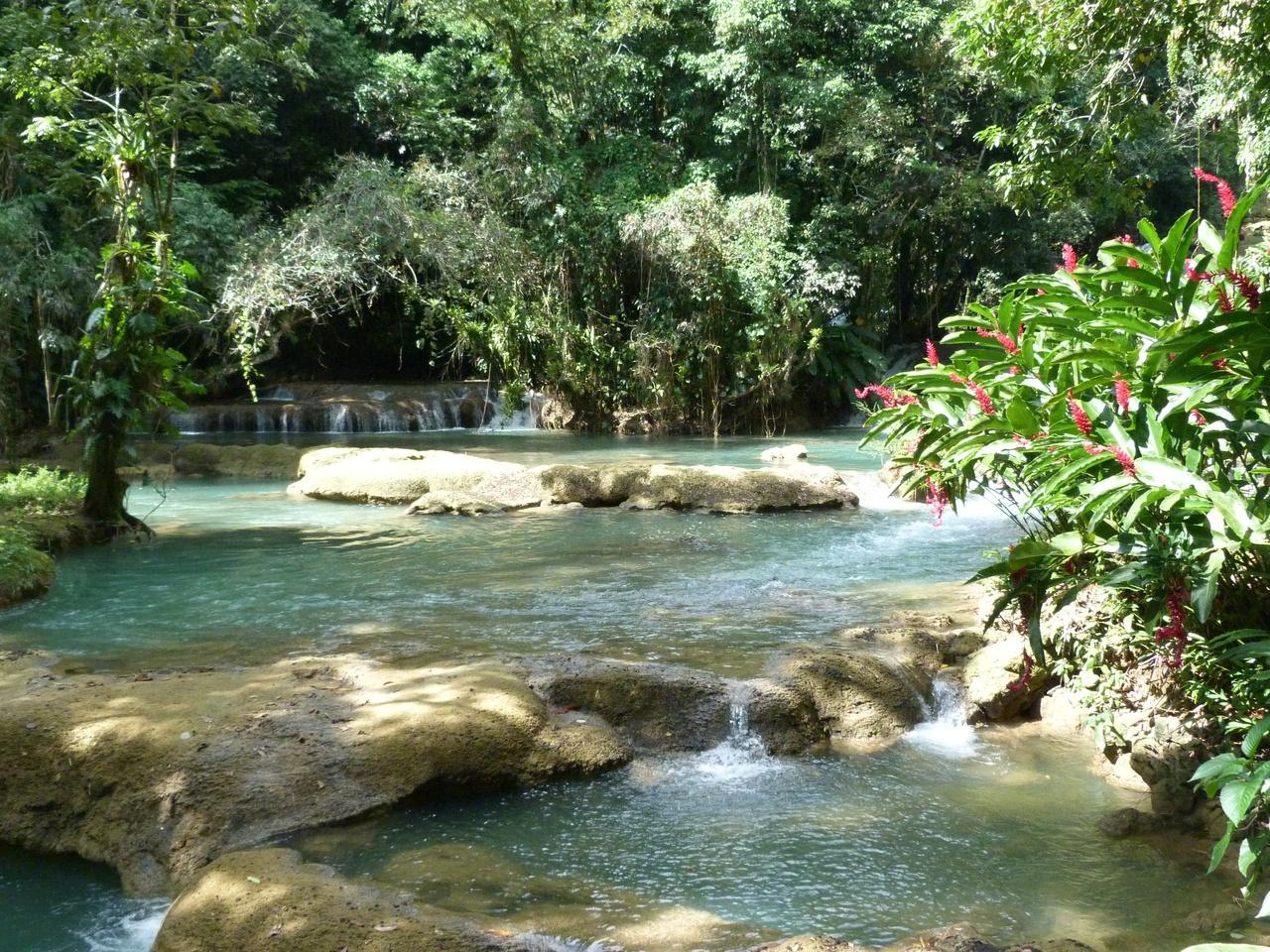 Jamaica’s Best: Rum, Safari & YS Falls Day Trip