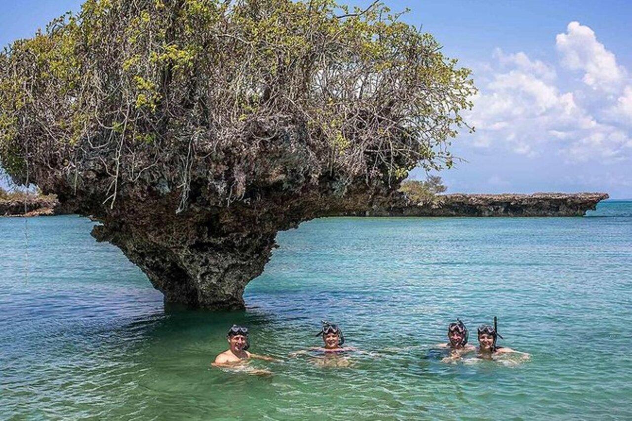 Zanzibar Safari Blue: Dhow Sailing, Snorkeling & Seafood Feast
