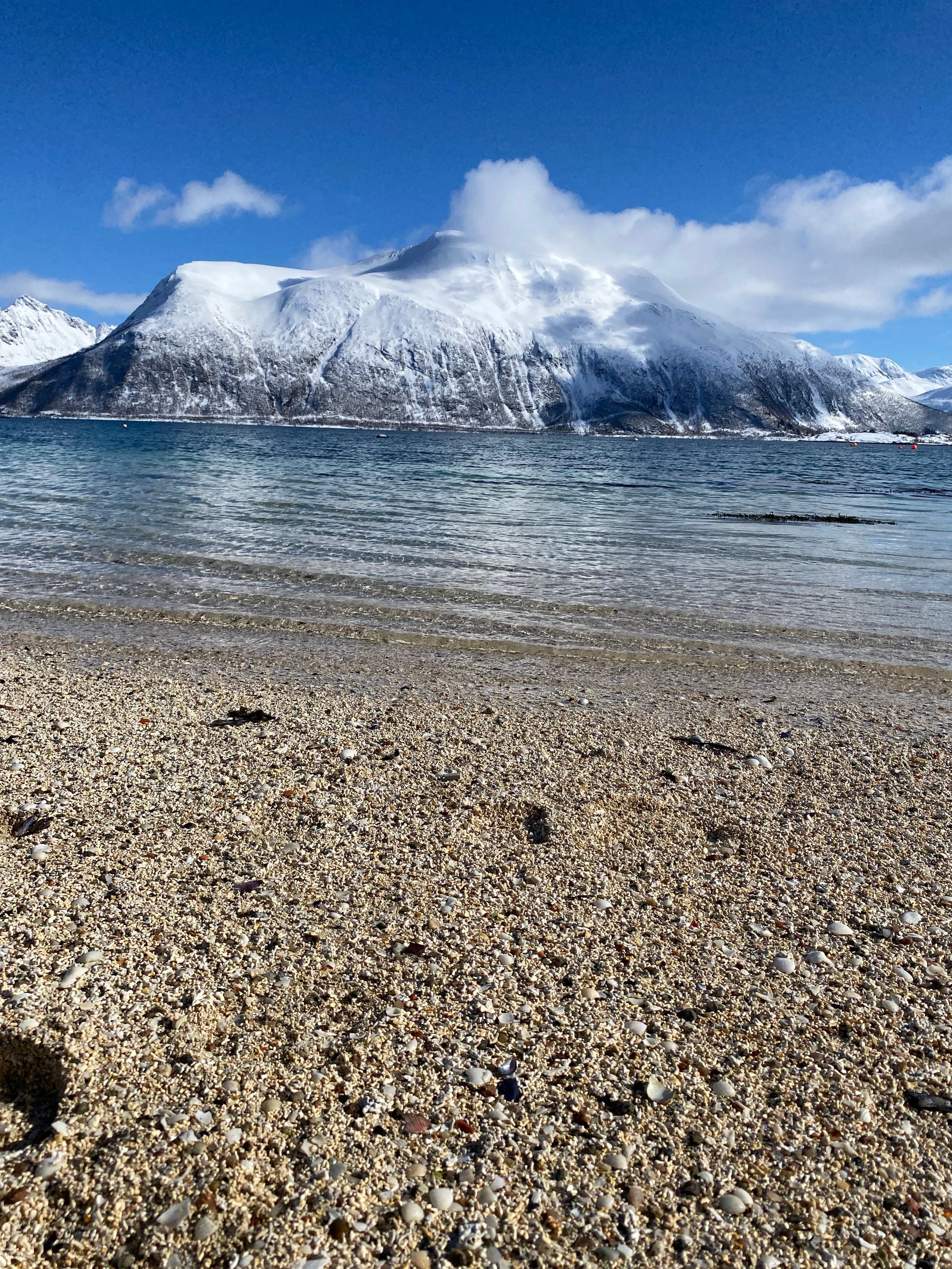 Tromsø: Midnight Sun Tour to the Magical Sommarøy with Meal — Sommarøy island Norway tour photo 3