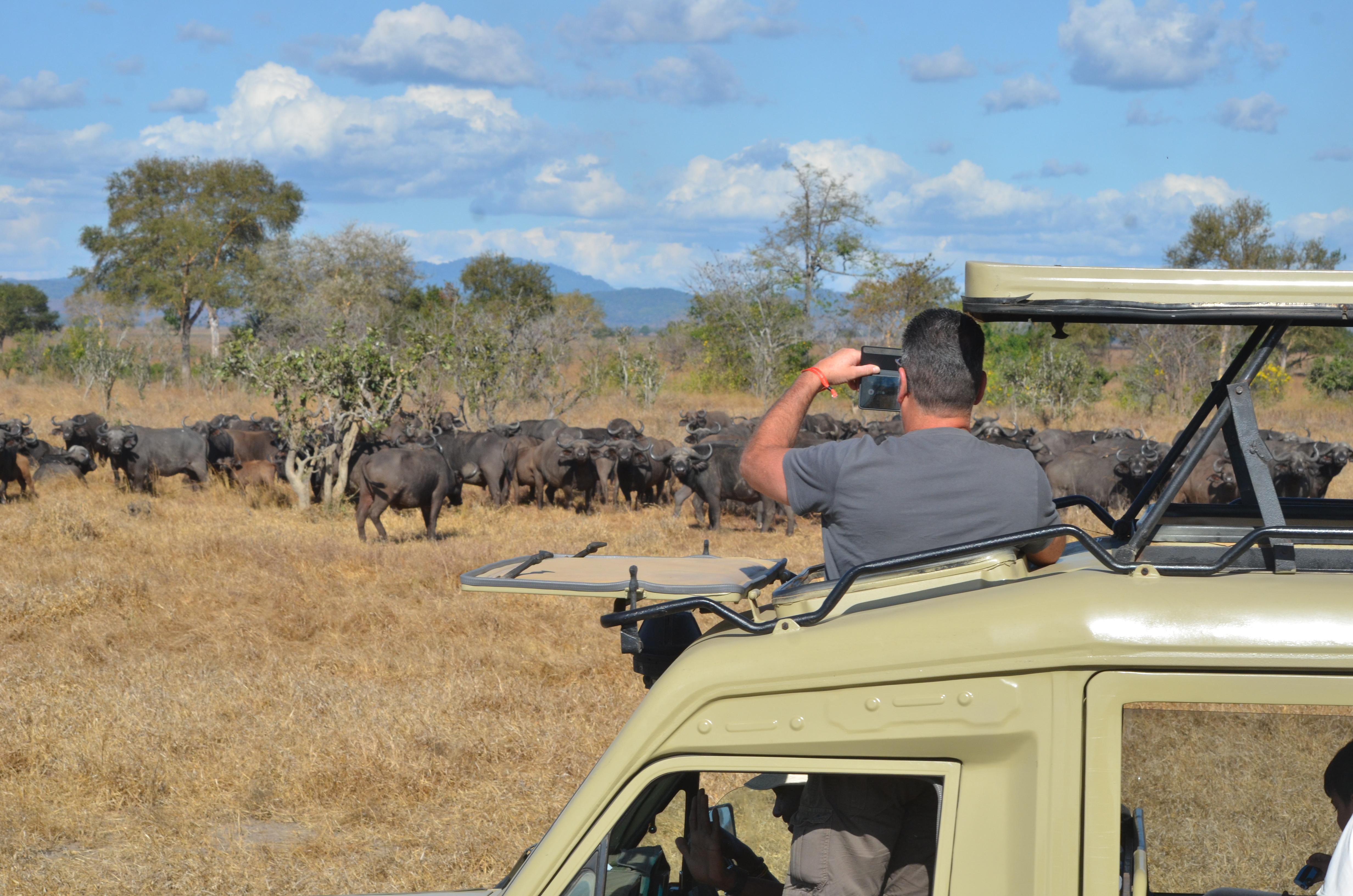Zanzibar to Selous Game Reserve: Fly-In Day Safari