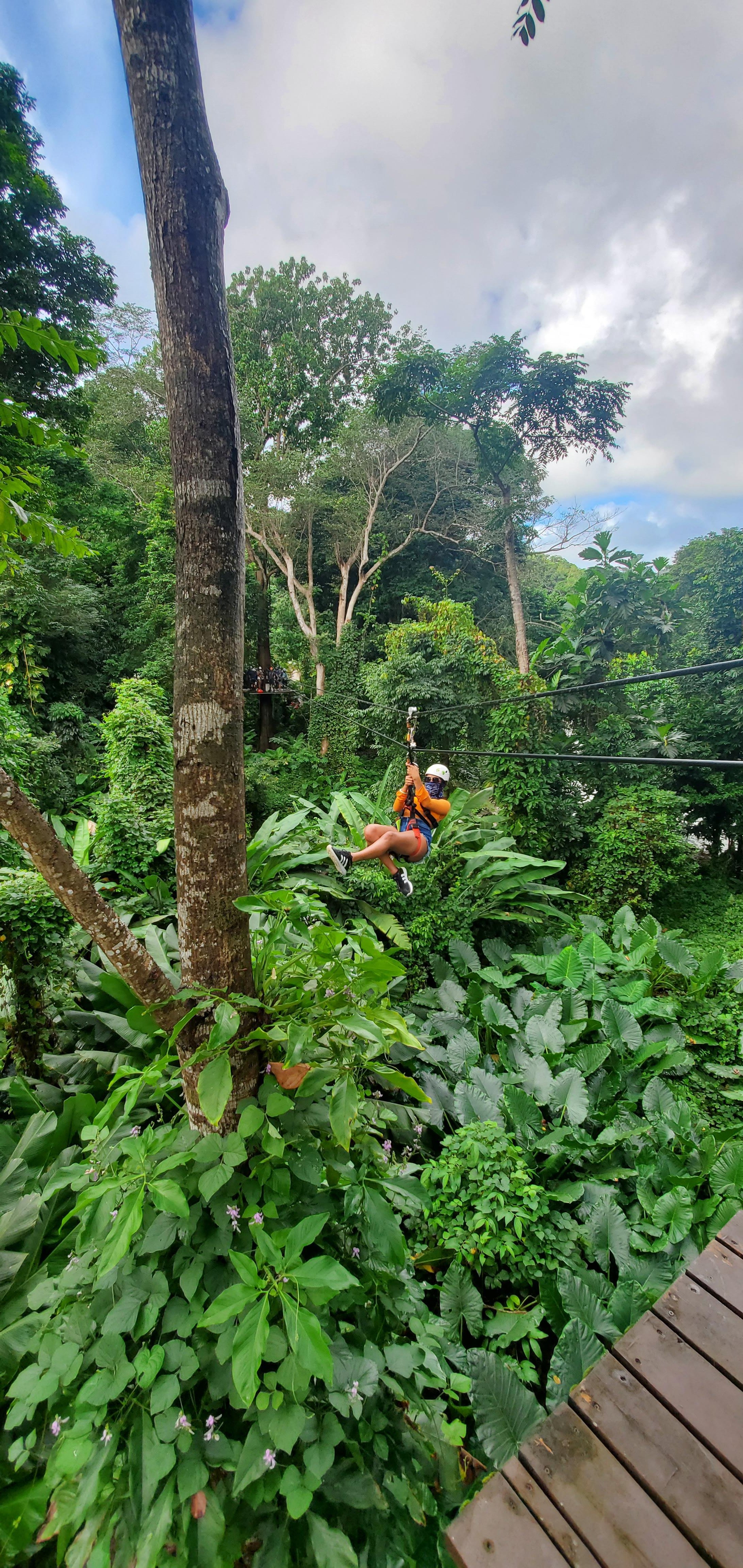 El Yunque Rainforest Adventure: Ziplining, River Swim & Luquillo Beach