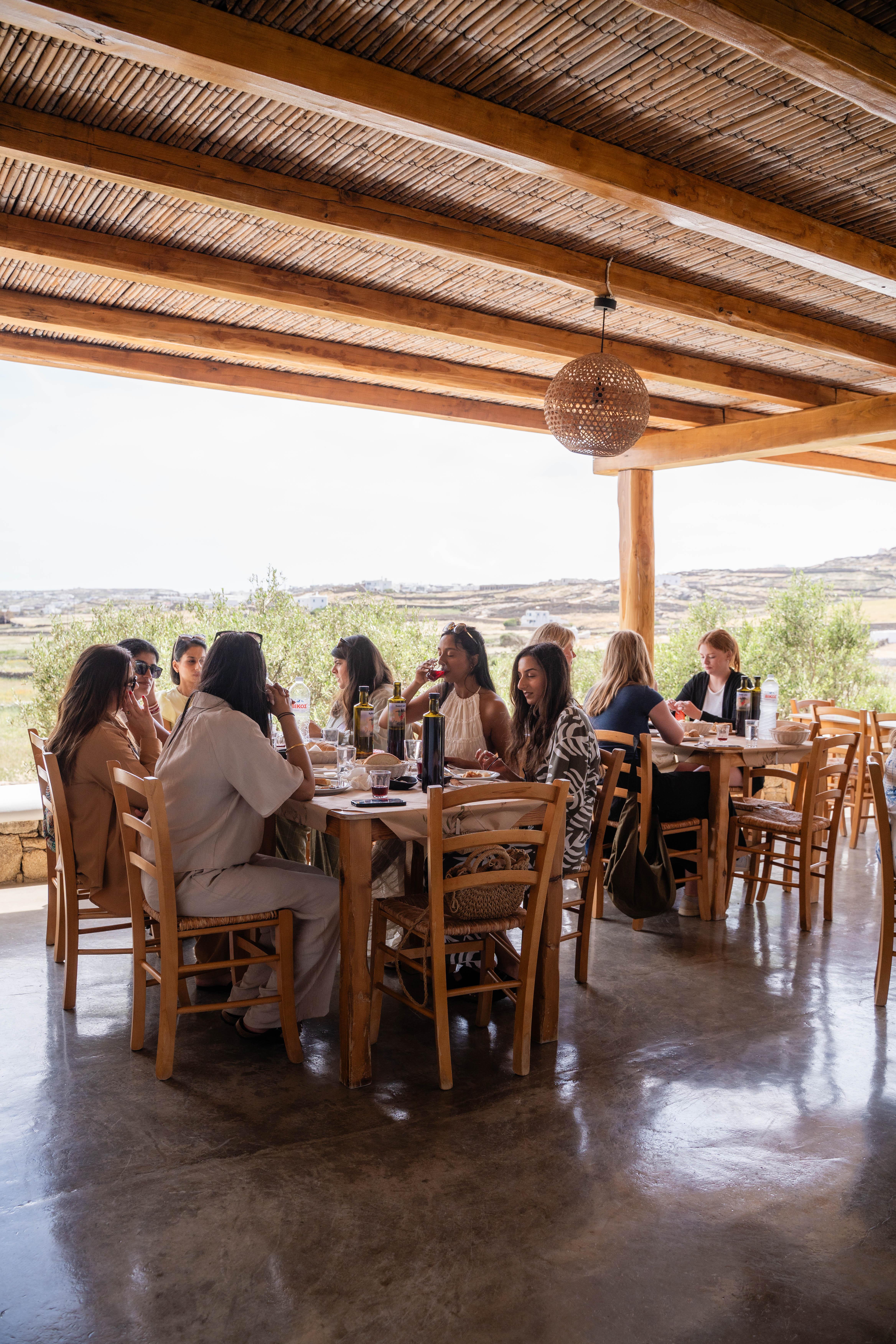 Mykonos Organic Vineyard Tour with Wine and Local Bites
