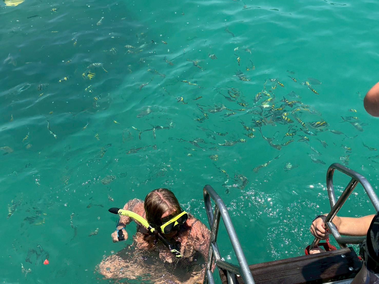 Koh Samui Catamaran Cruise: Pig Island & Koh Tan Snorkeling
