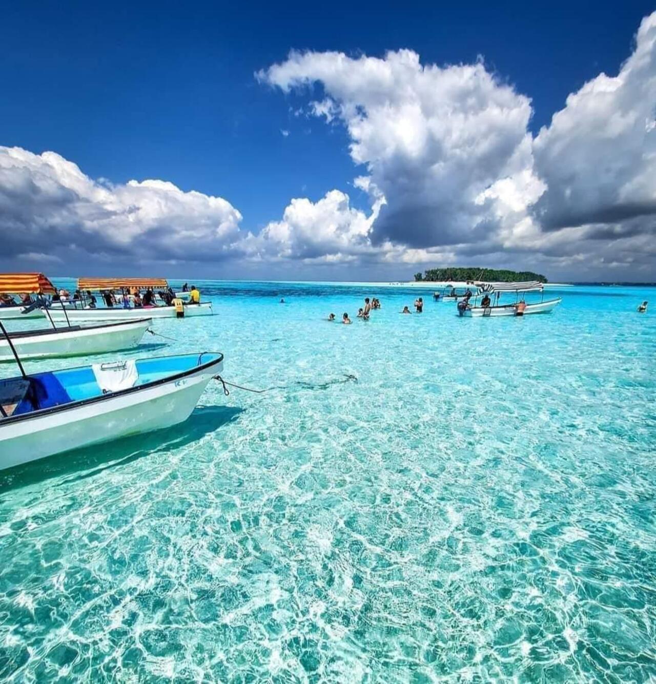 Mnemba Island Dolphin Encounter & Snorkeling Adventure